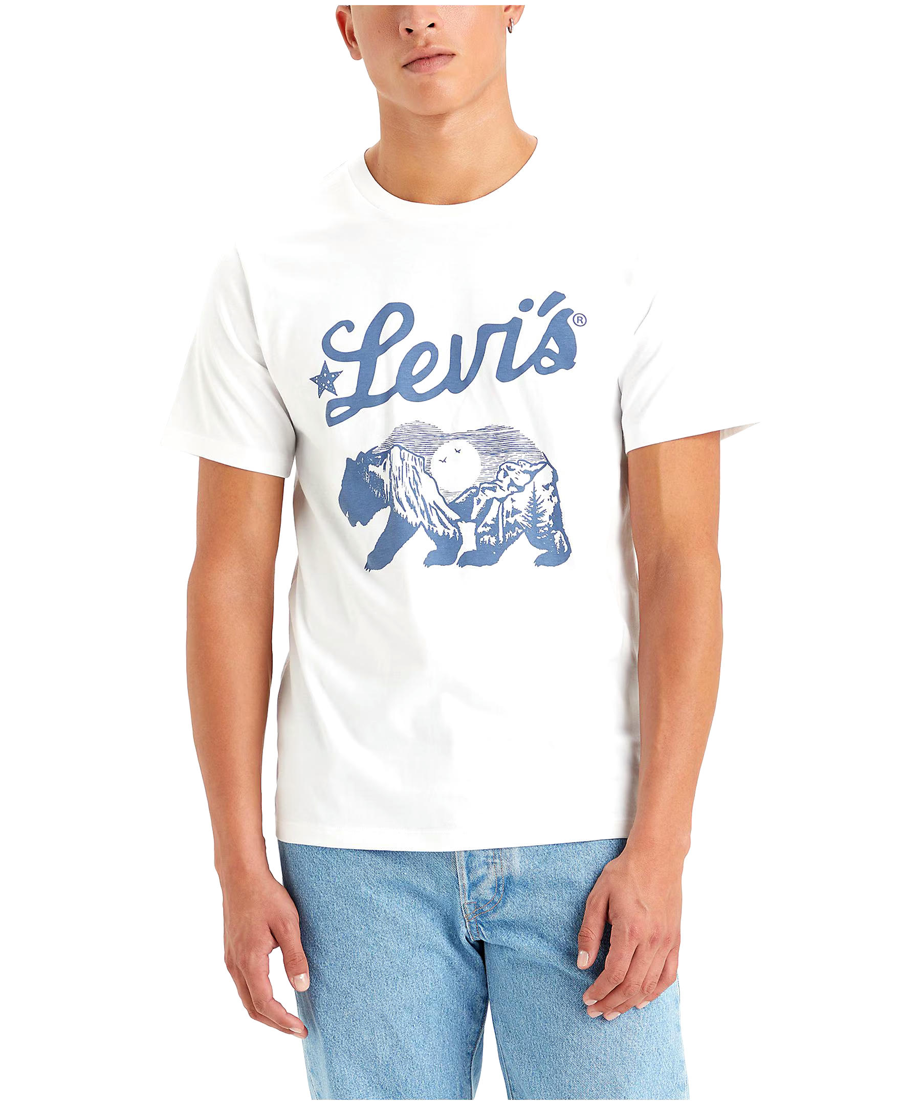 Levi's Men's Bear Scene Graphic Standard Fit Cotton T Shirt