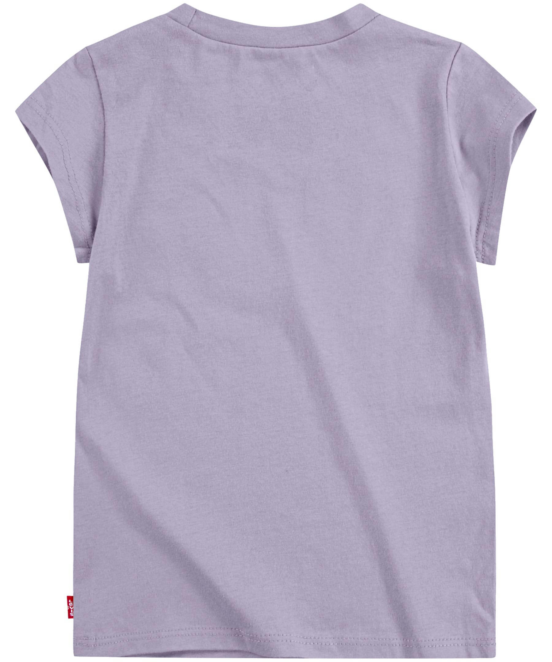 Levi's Kids' Unisex Batwing Graphic Short Sleeve T Shirt