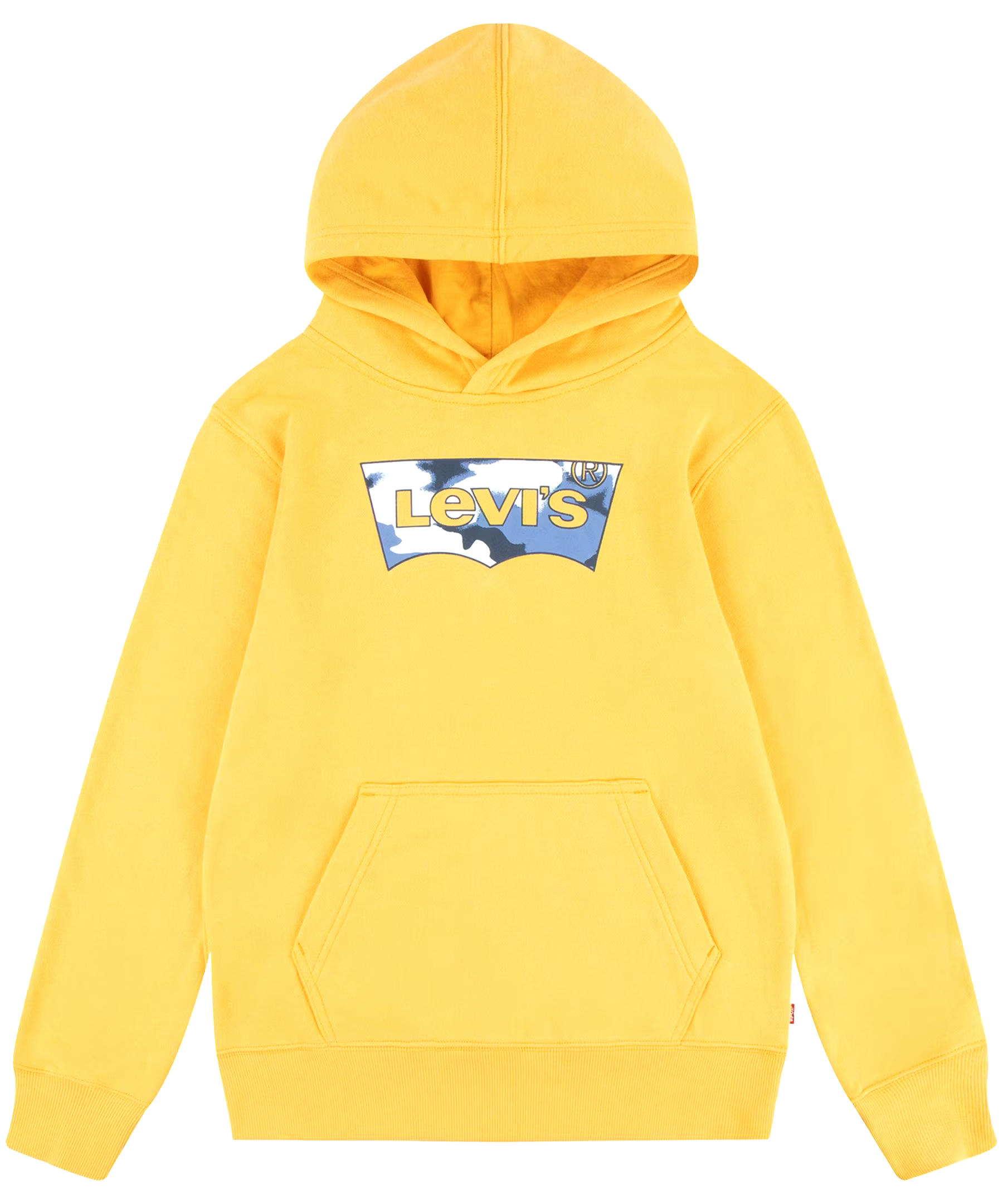 Levi's Kids' Unisex Batwing Graphic Pullover Hoodie