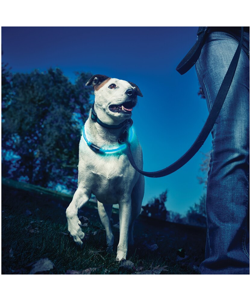 Nite Ize Nitehowl LED Safety Necklace