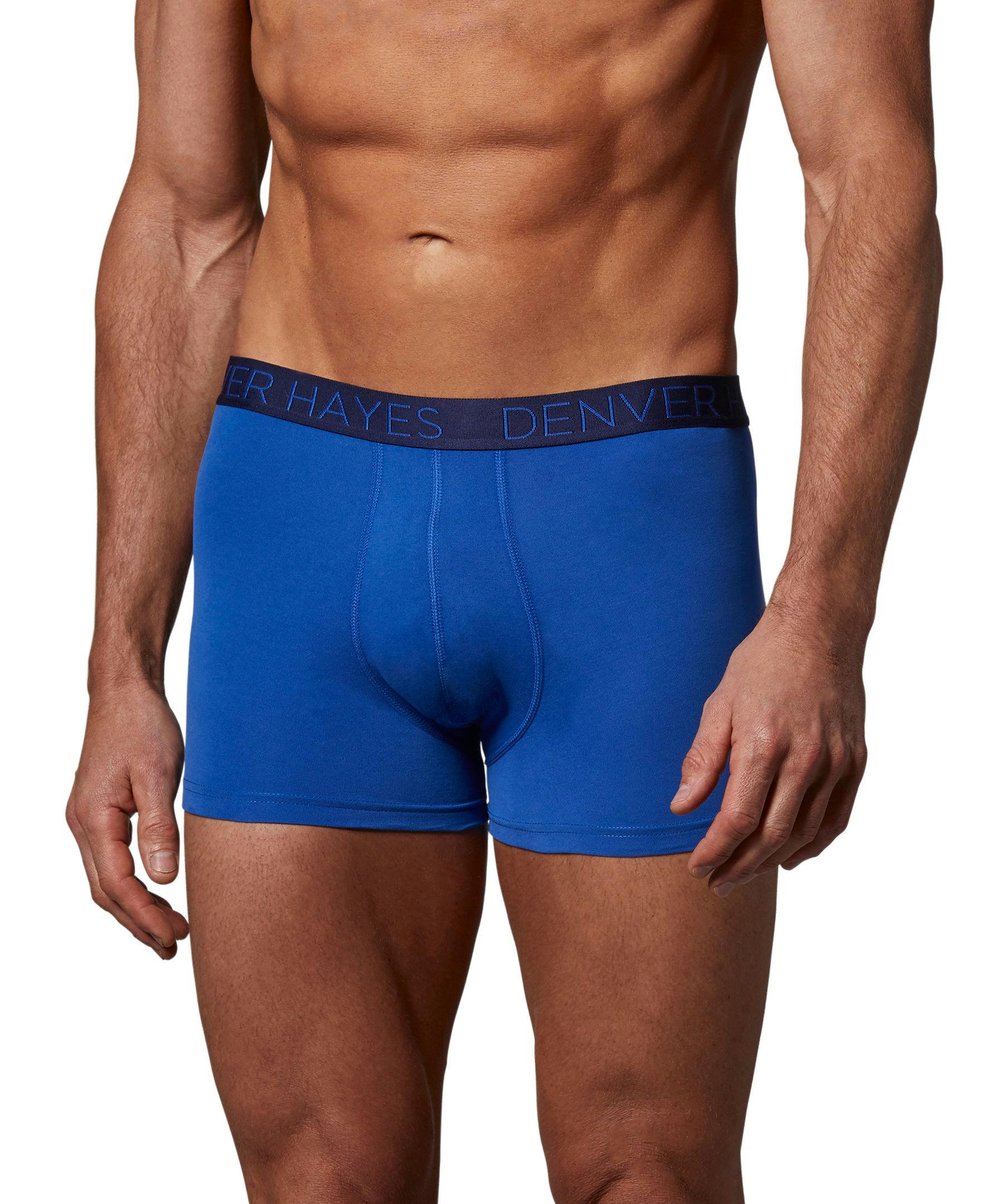 Denver Hayes Men's 2-Pack DriWear Trunk Brief