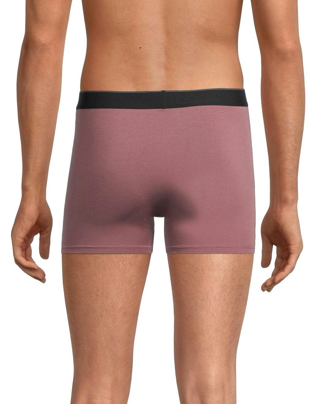 Denver Hayes Men's Rayon from Bamboo 2-Pack Trunk Briefs