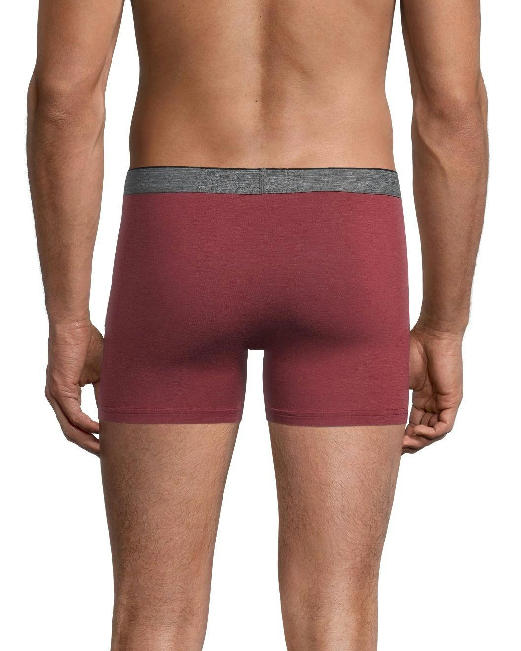 Denver Hayes Men's Rayon from Bamboo 2-Pack Trunk Briefs