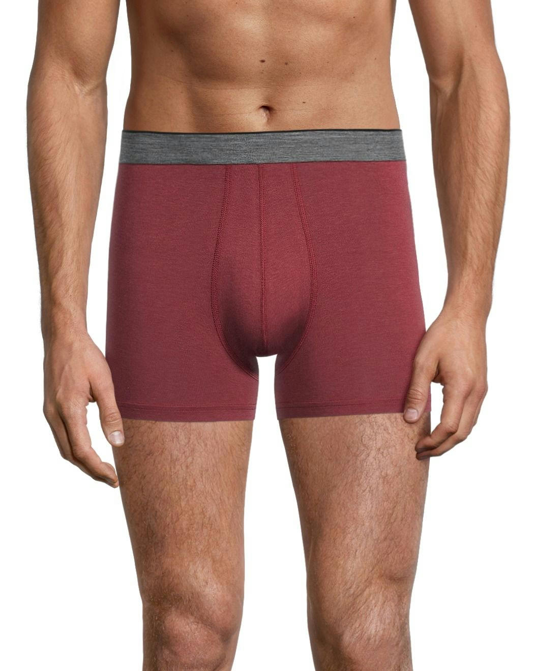 Denver Hayes Men's Rayon from Bamboo 2-Pack Trunk Briefs