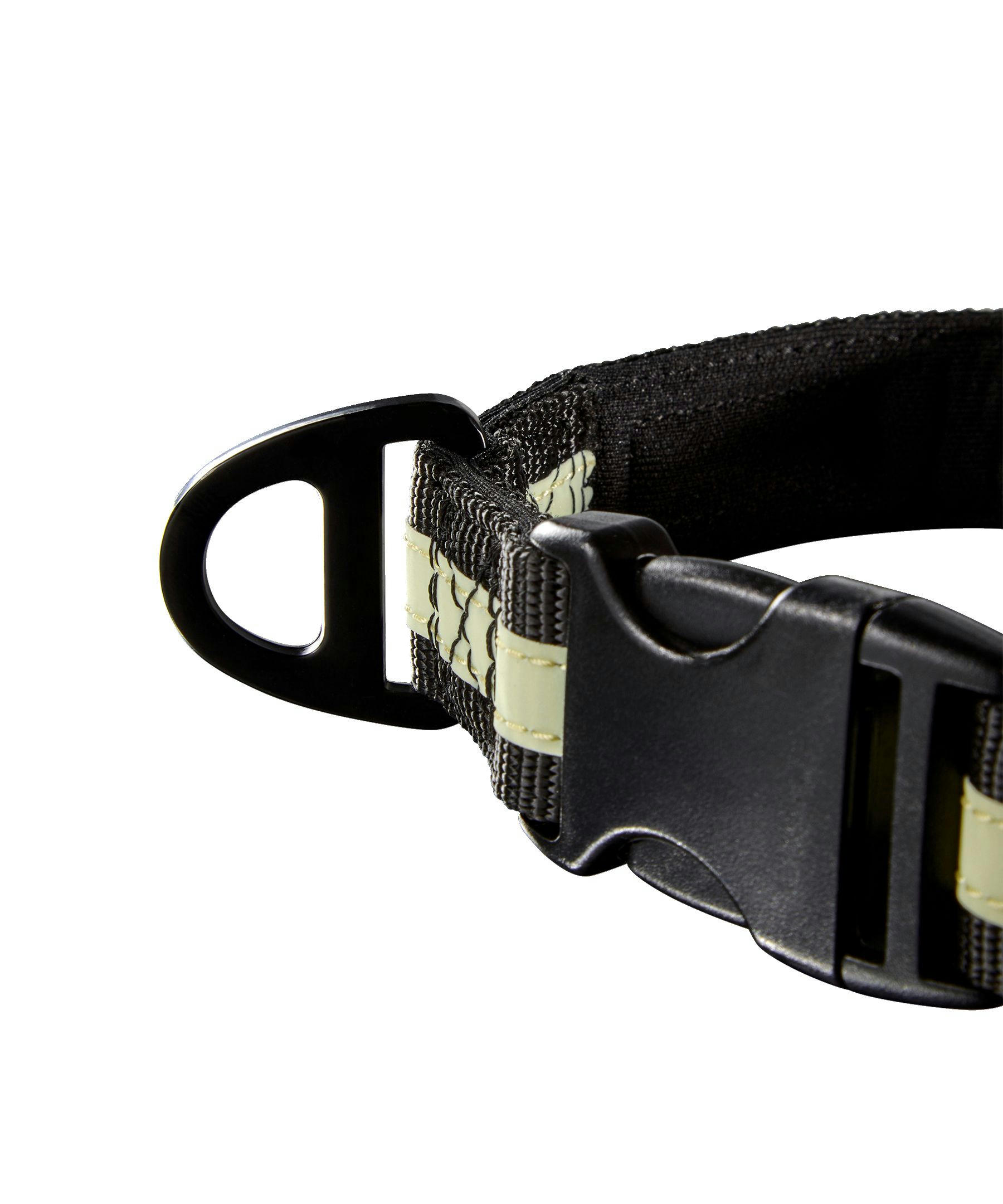 WindRiver Dog Collar with Vizlite