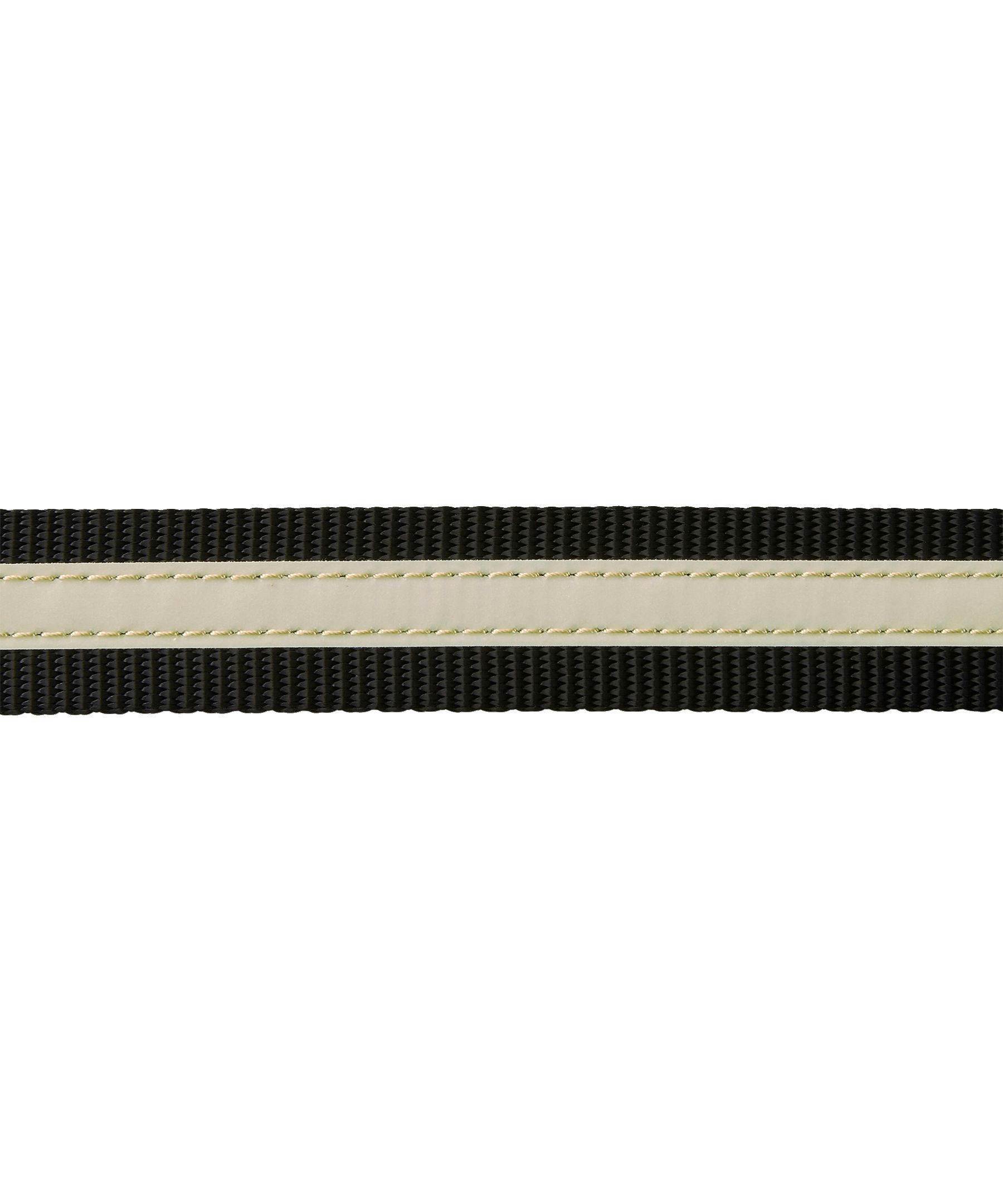 WindRiver Dog Leash with Vizlite