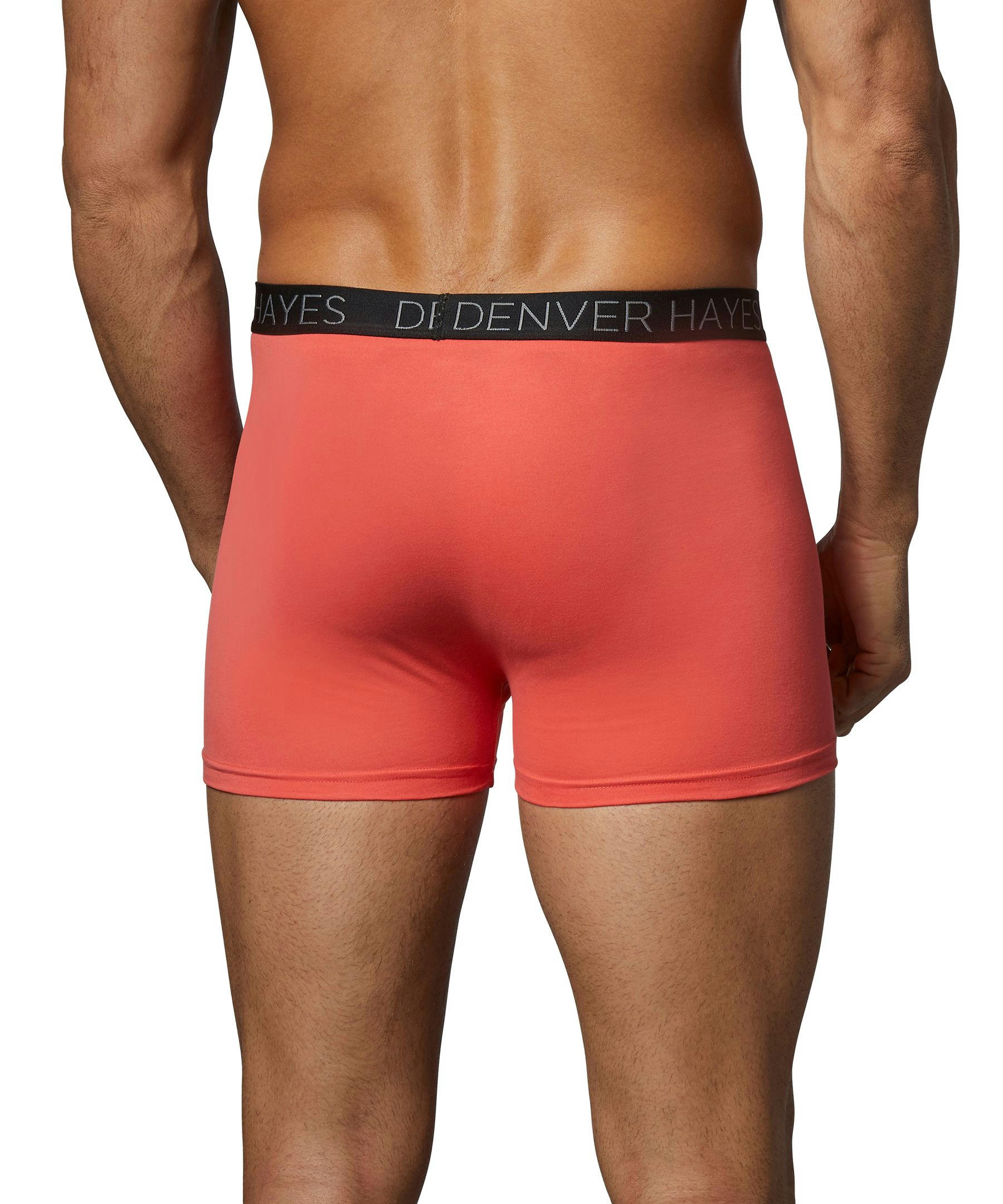 Denver Hayes Men's 2-Pack DriWear Trunk Brief