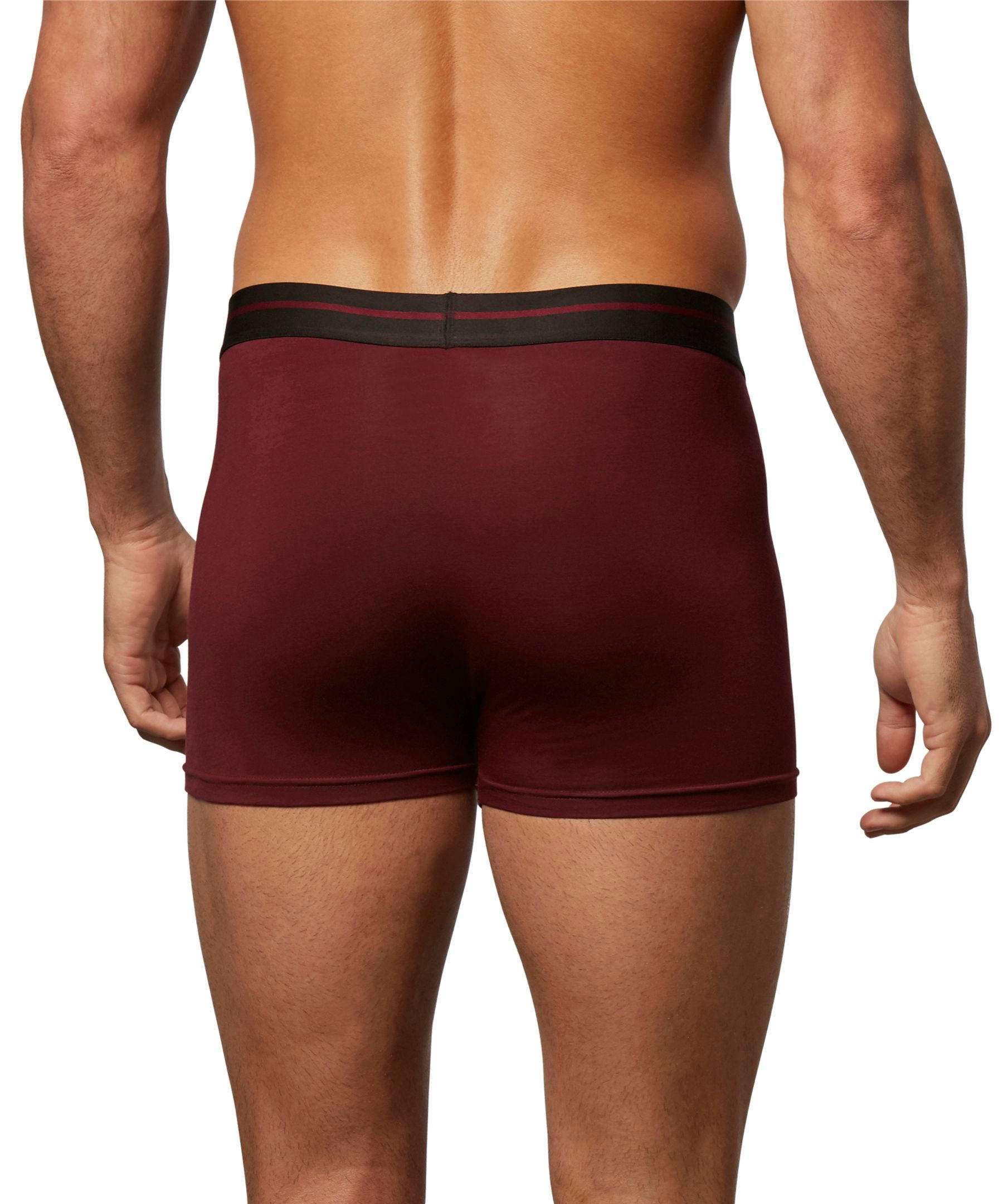 Denver Hayes Men's All Day Comfort Trunk Briefs Underwear