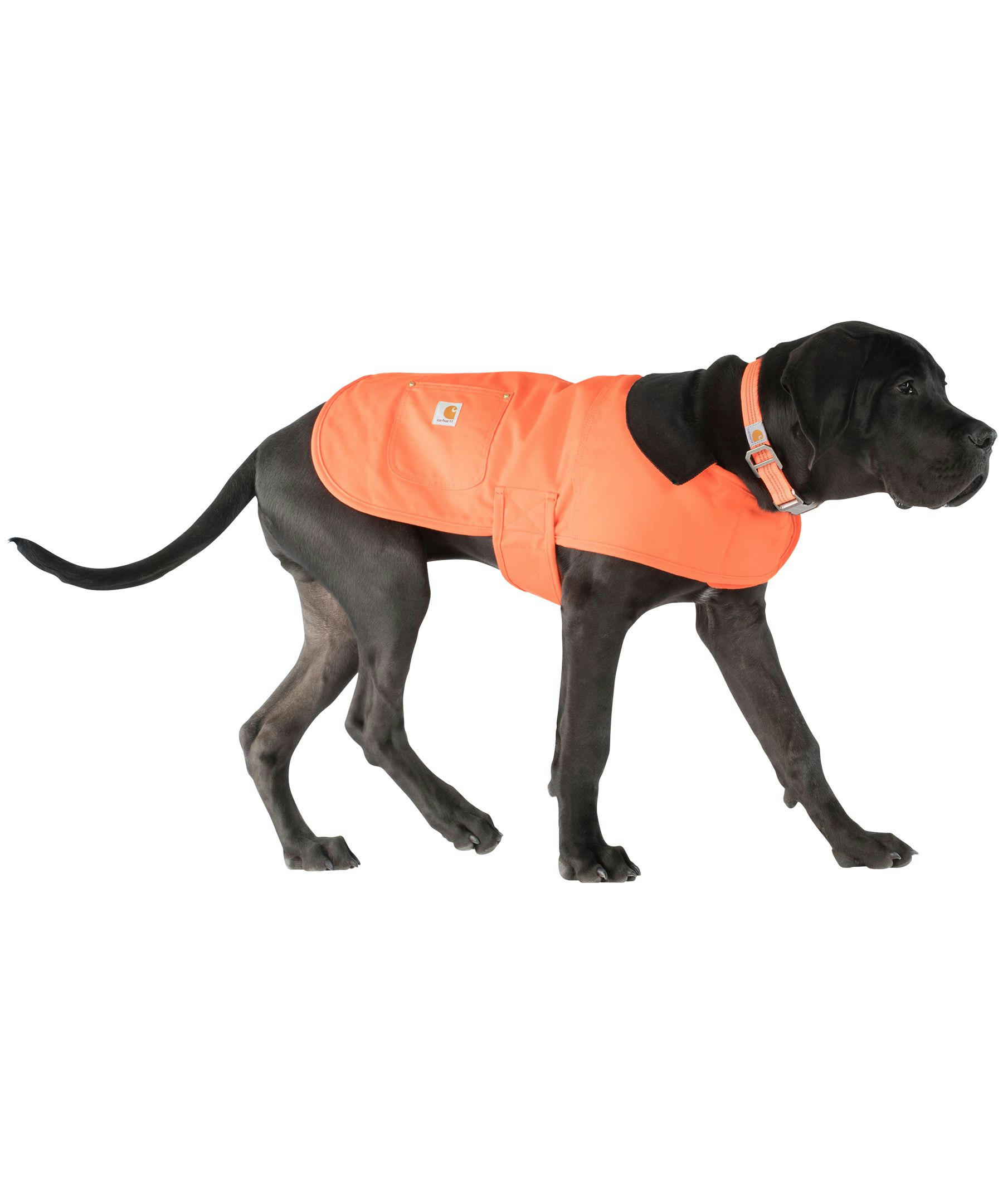 Dog Orange Chore Coat -