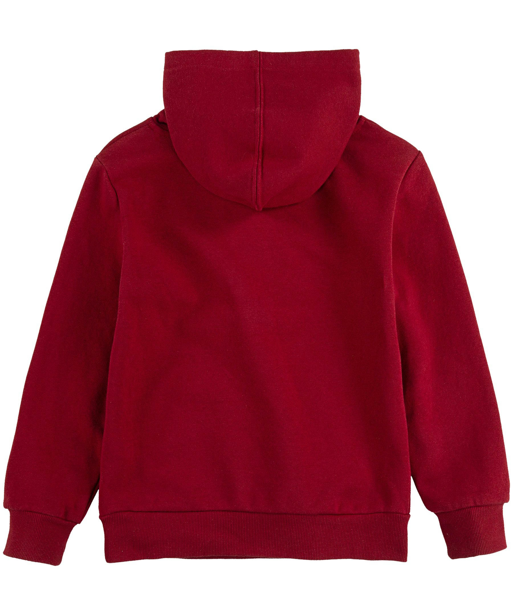 Levi's Kids' Unisex Batwing Graphic Fleece Pullover Hoodie