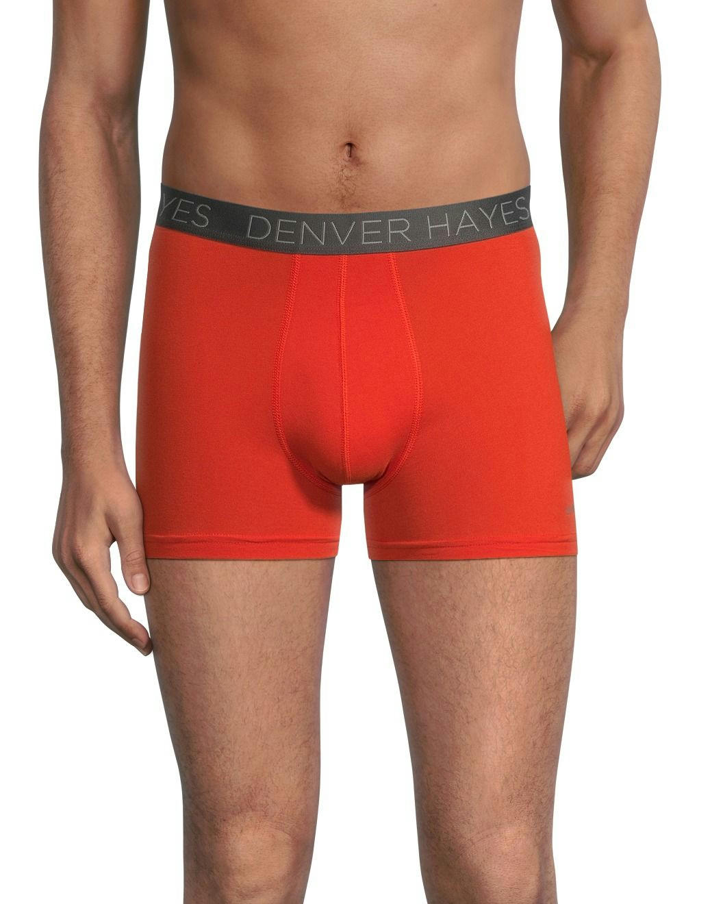 Denver Hayes Men's 2-Pack DriWear Trunk Brief