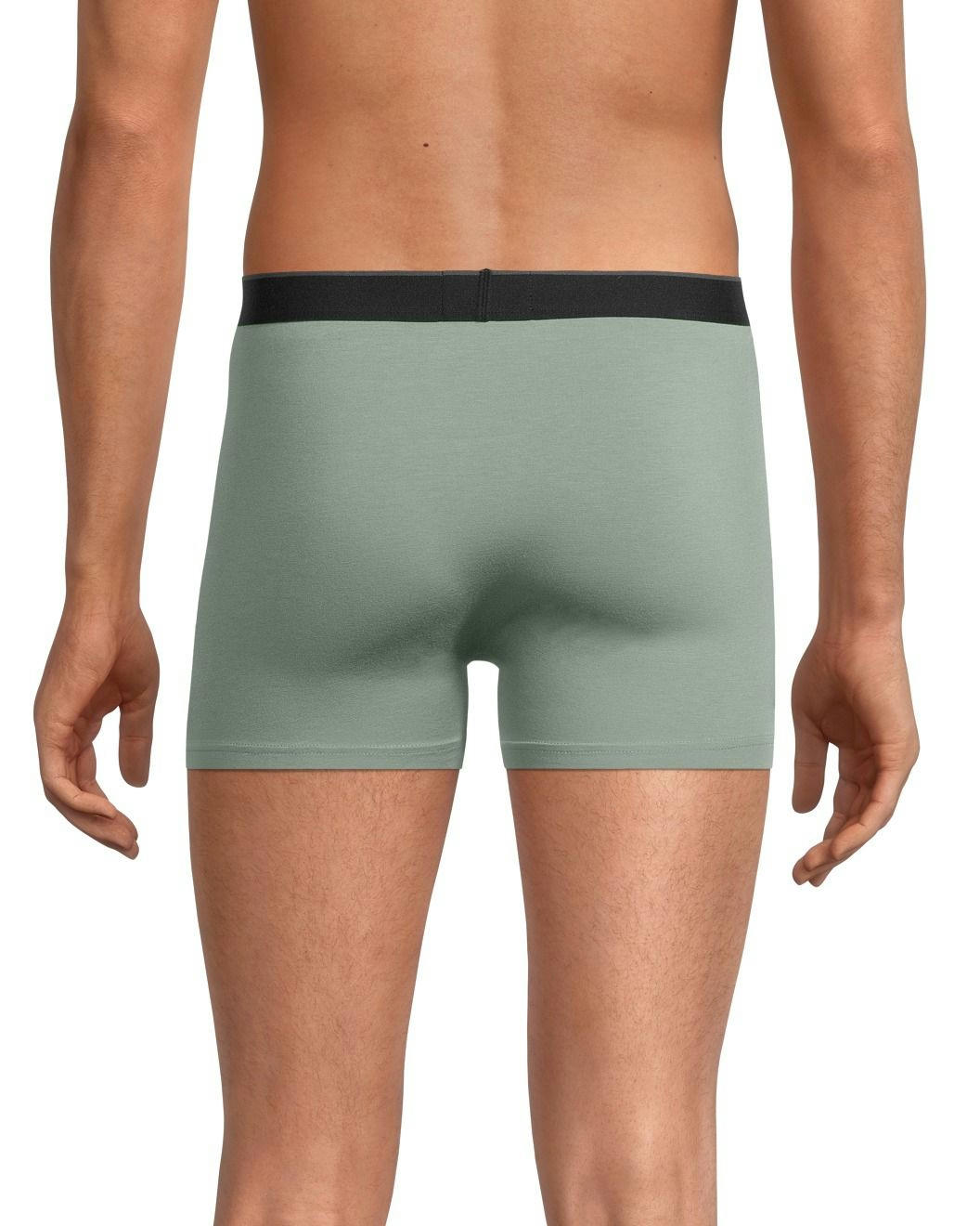 Denver Hayes Men's Rayon from Bamboo 2-Pack Trunk Briefs
