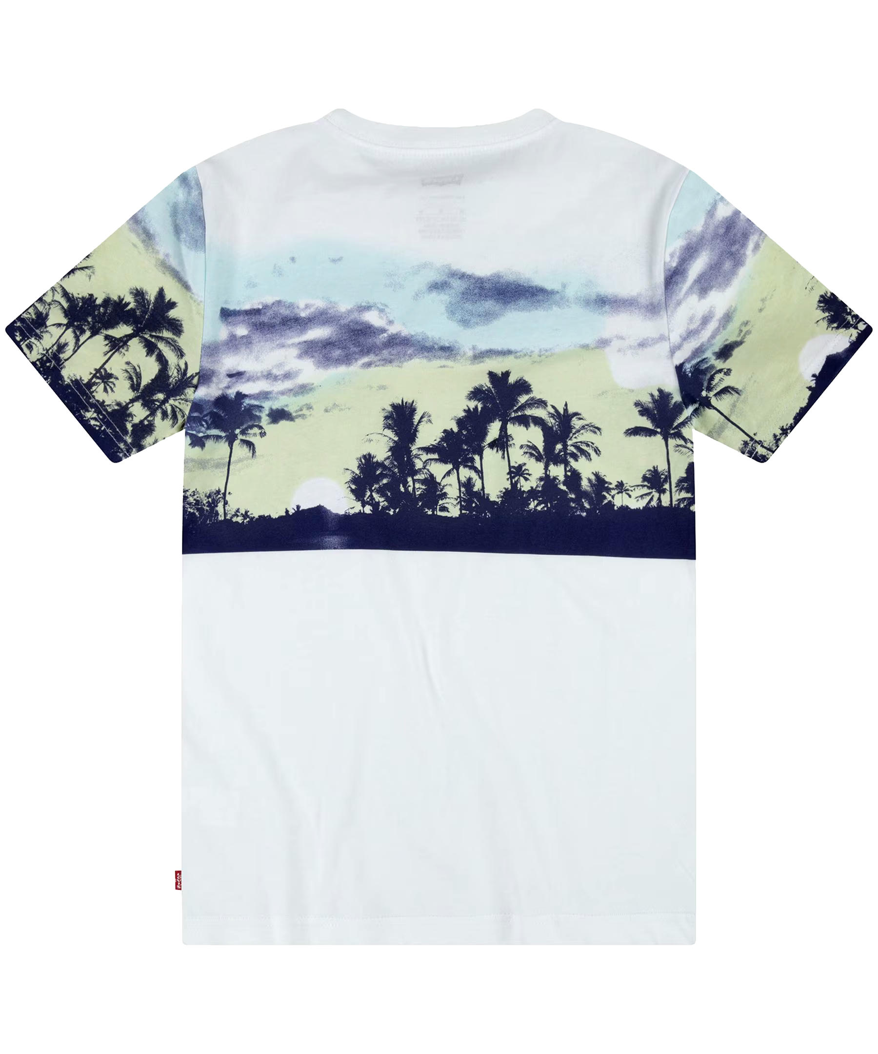 Levi's Youth Unisex Crew Neck Graphic T Shirt