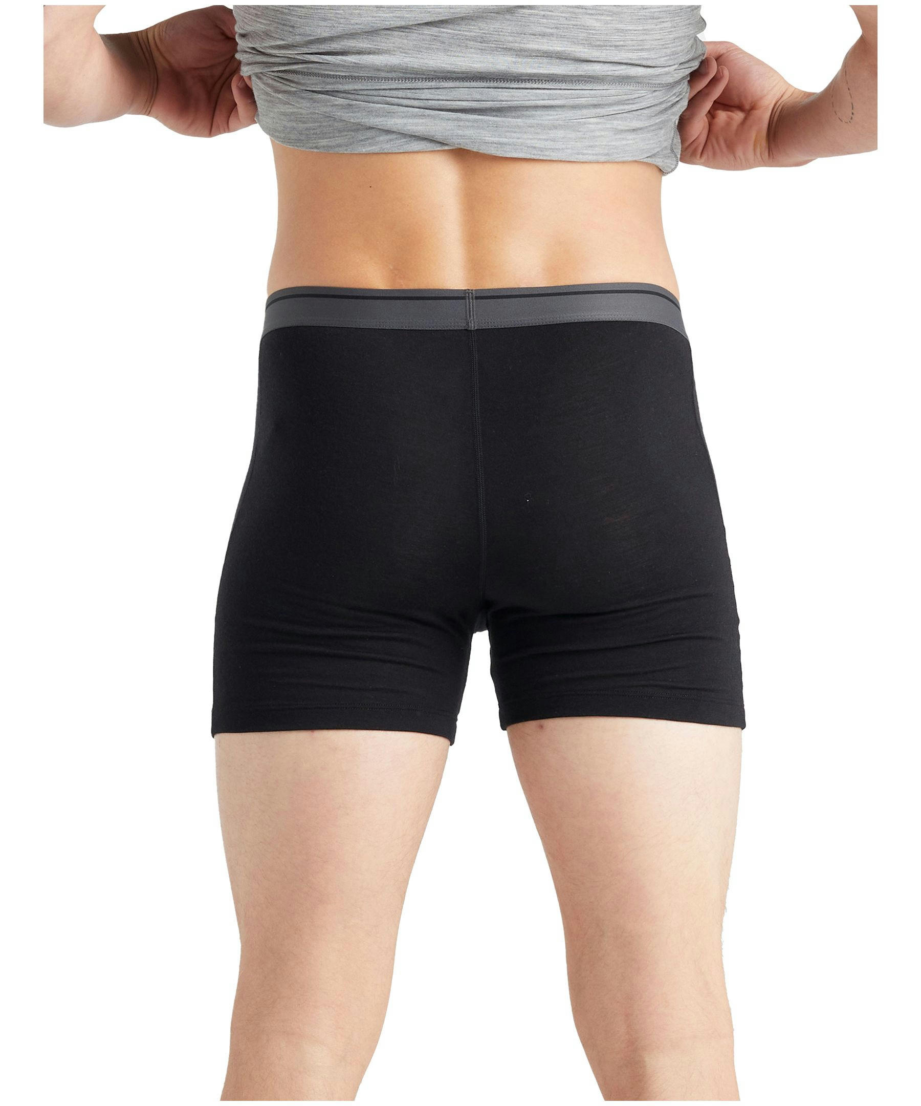 Icebreaker Men's Anatomica Boxers