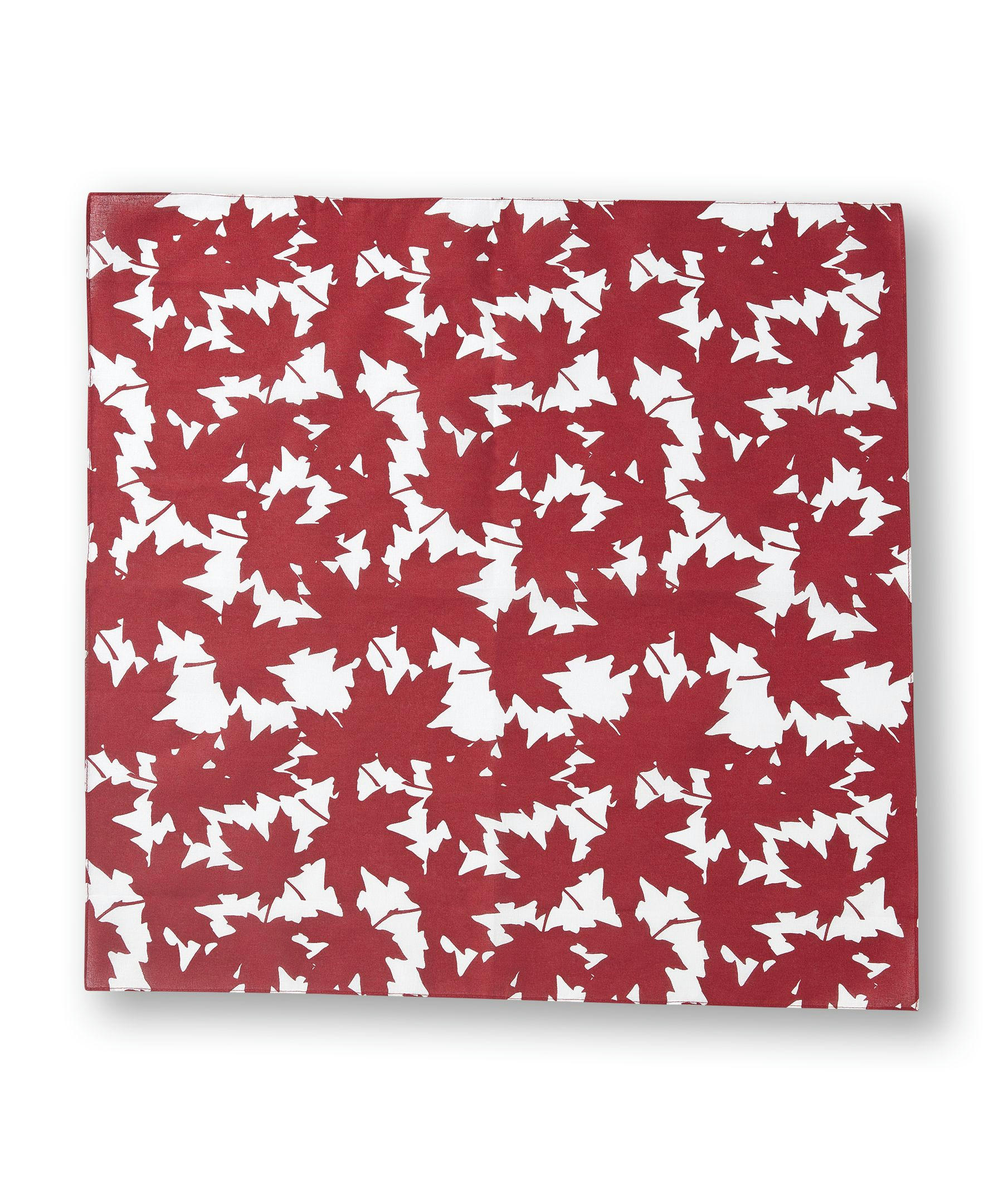WindRiver Unisex 2 Pack Cotton Bandanas