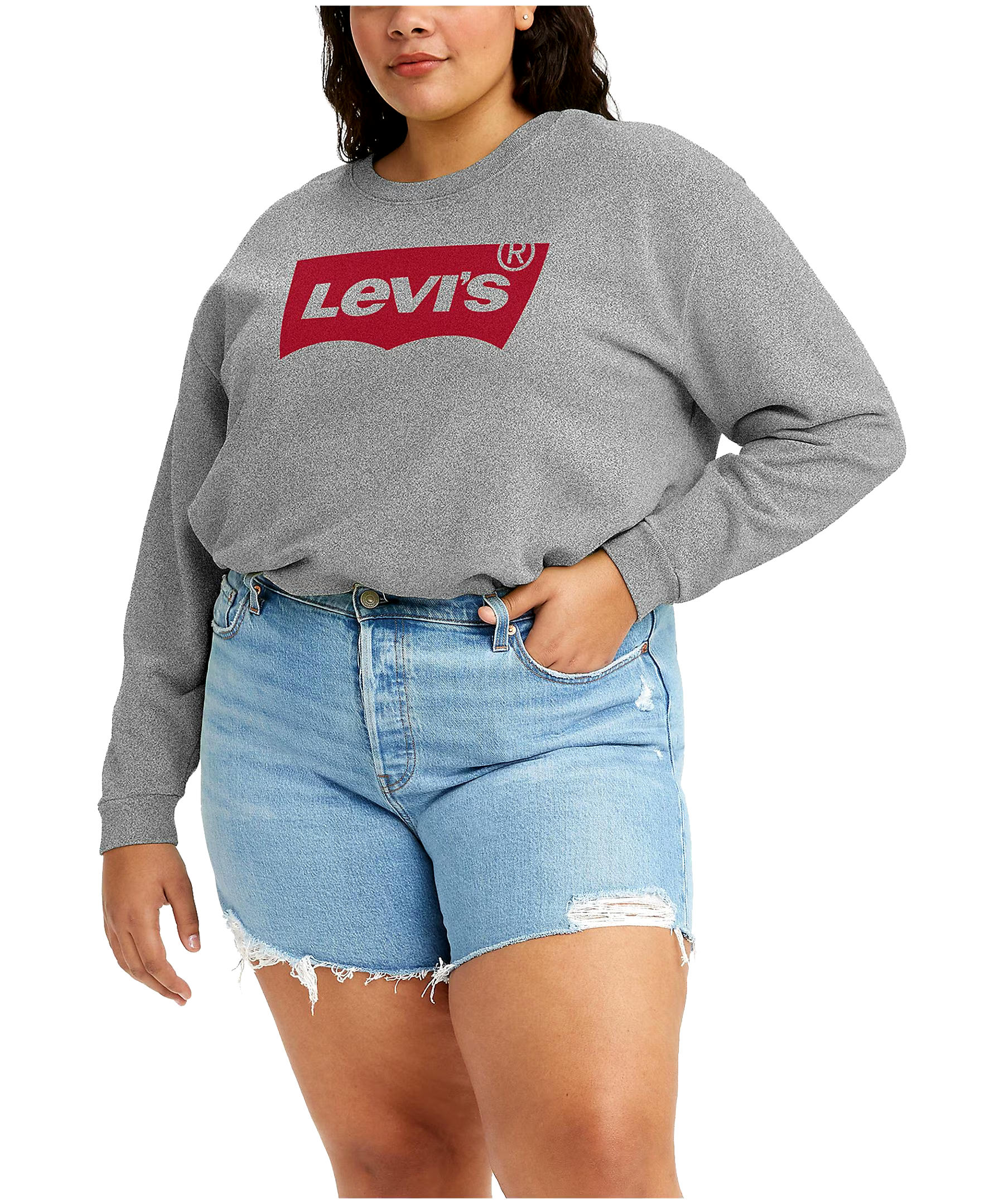 Levi's Women's Graphic Standard Crewneck Sweatshirt - Plus Size