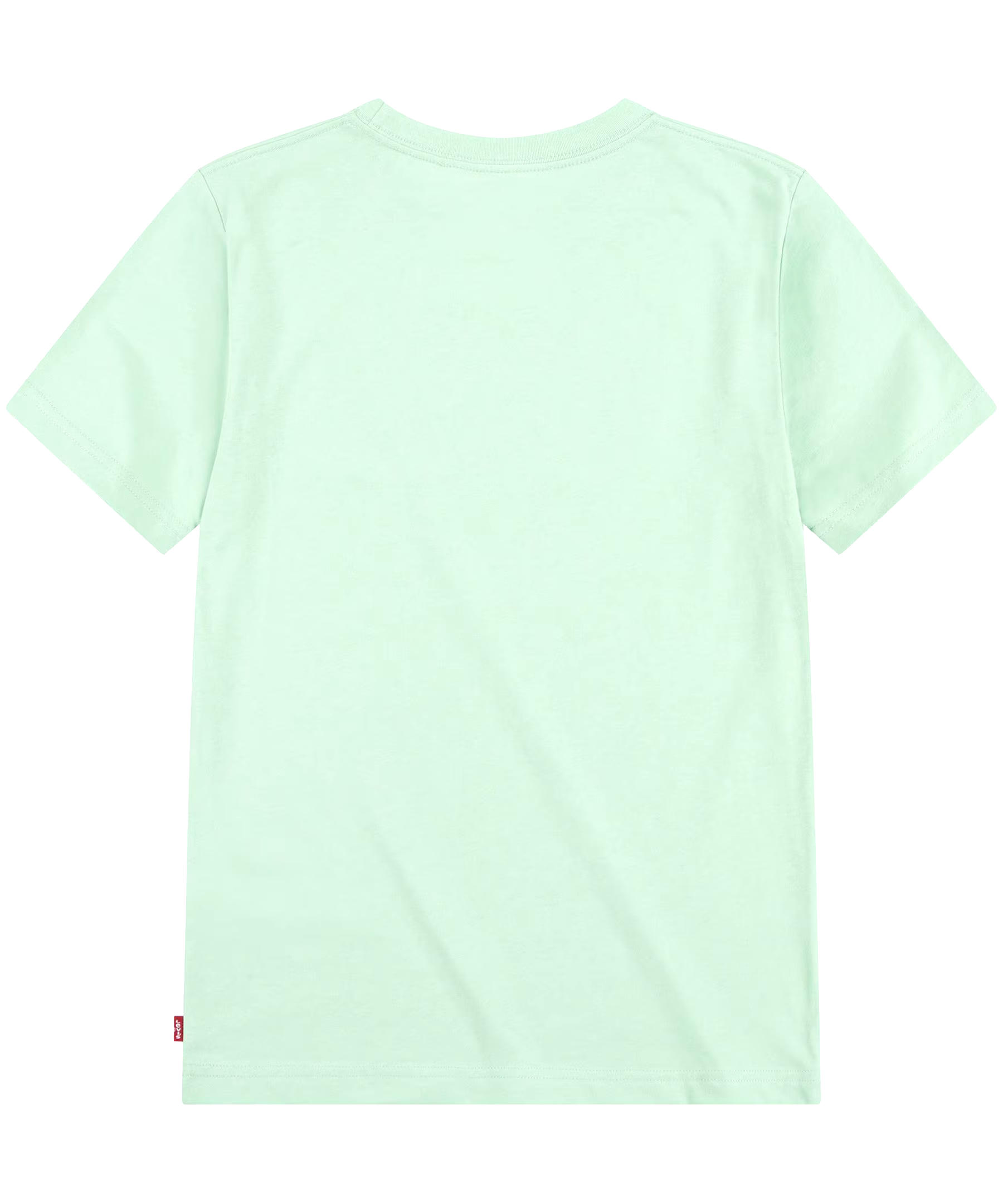 Levi's Youth Unisex Crew Neck Graphic T Shirt