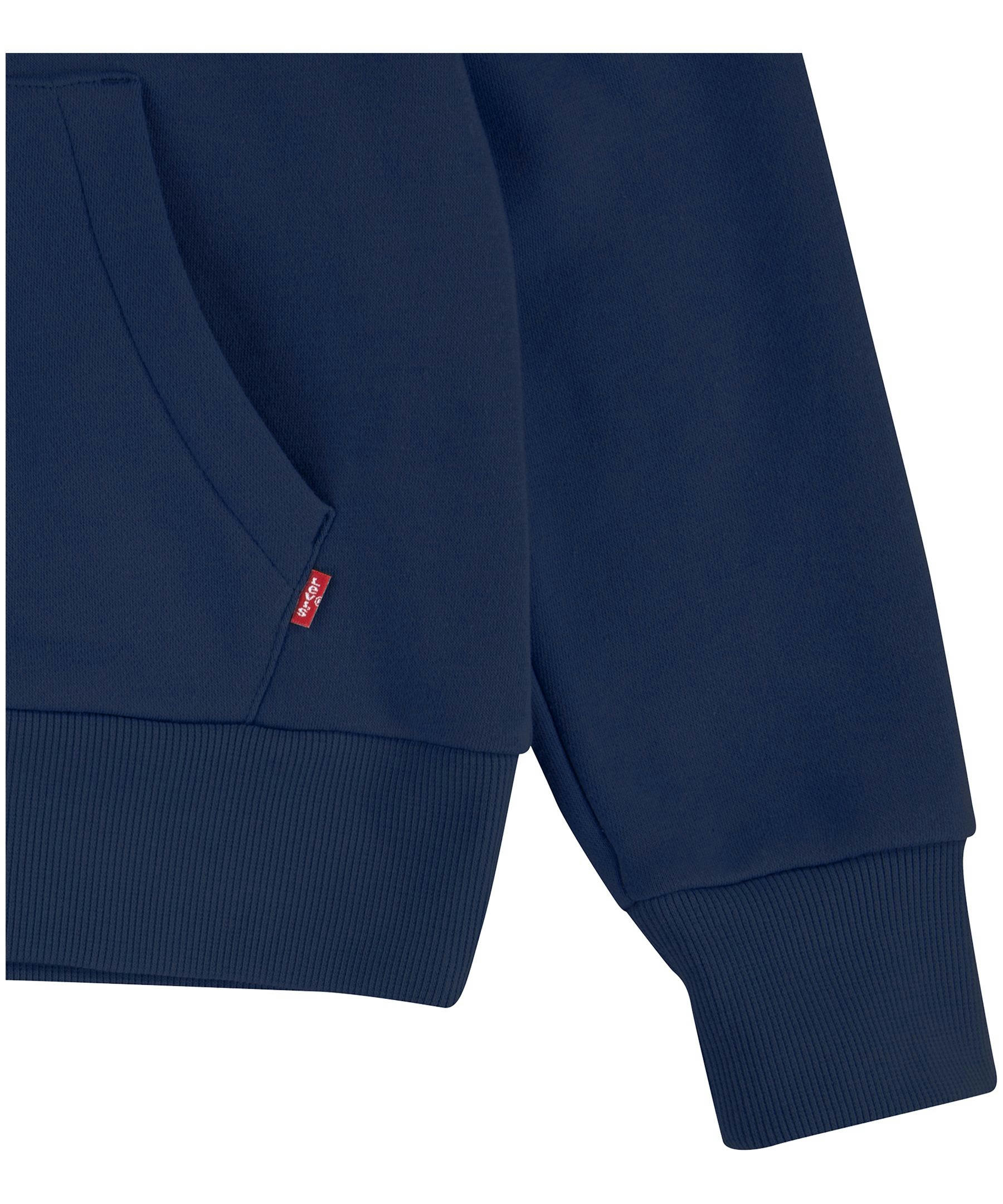 Levi's Kids' Unisex Batwing Graphic Pullover Hoodie