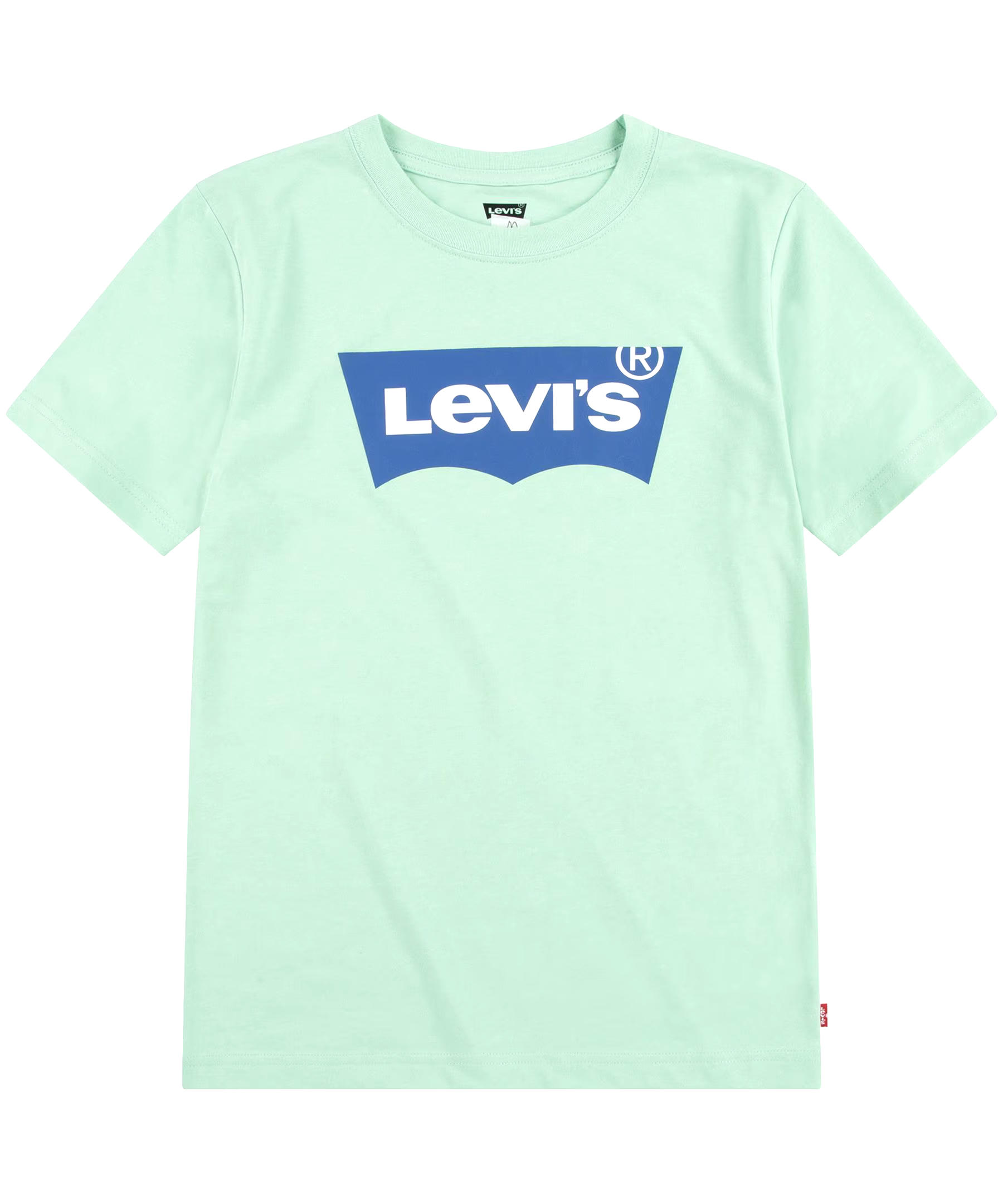 Levi's Youth Unisex Crew Neck Graphic T Shirt