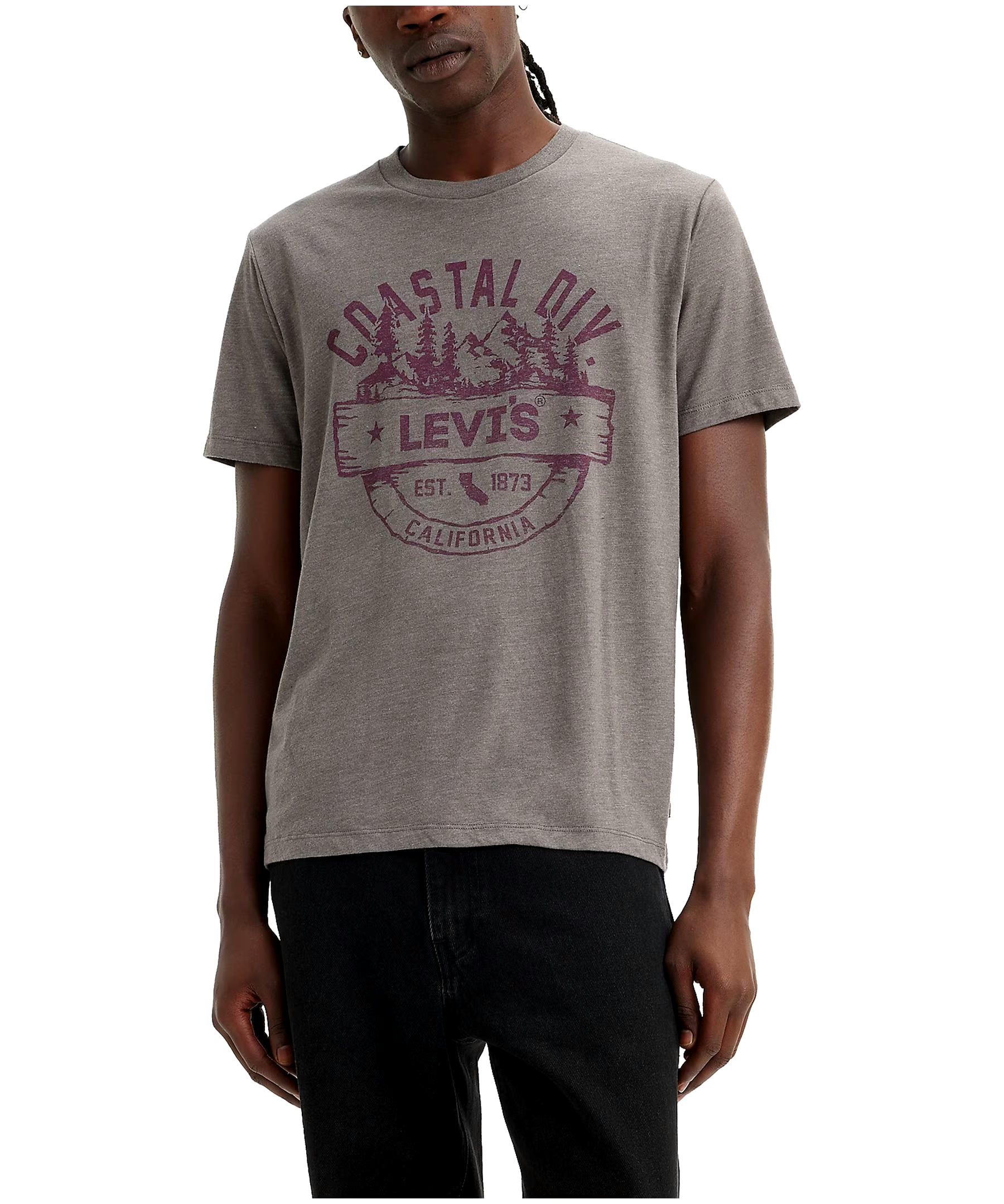 Levi's Men's Tri-Blend Coastal Graphic T Shirt