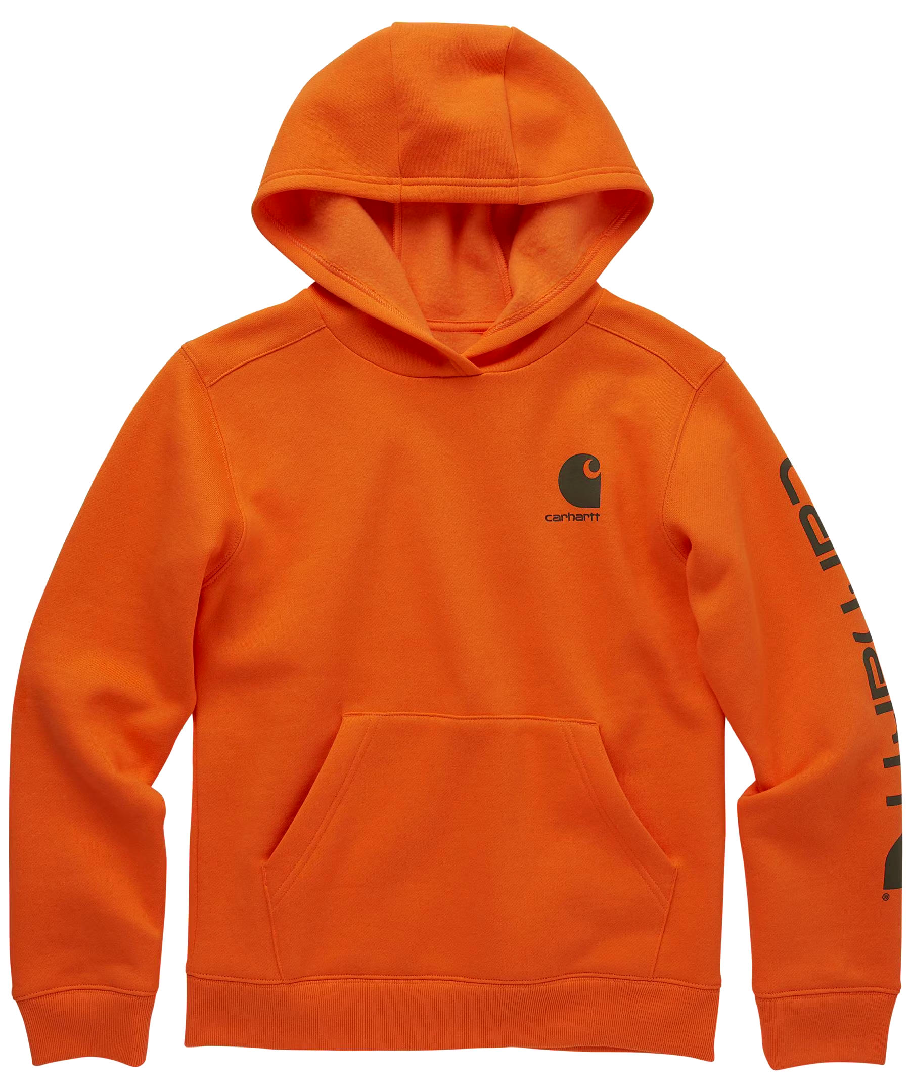 Carhartt Youth Unisex Logo Graphic Hoodie Sweatshirt