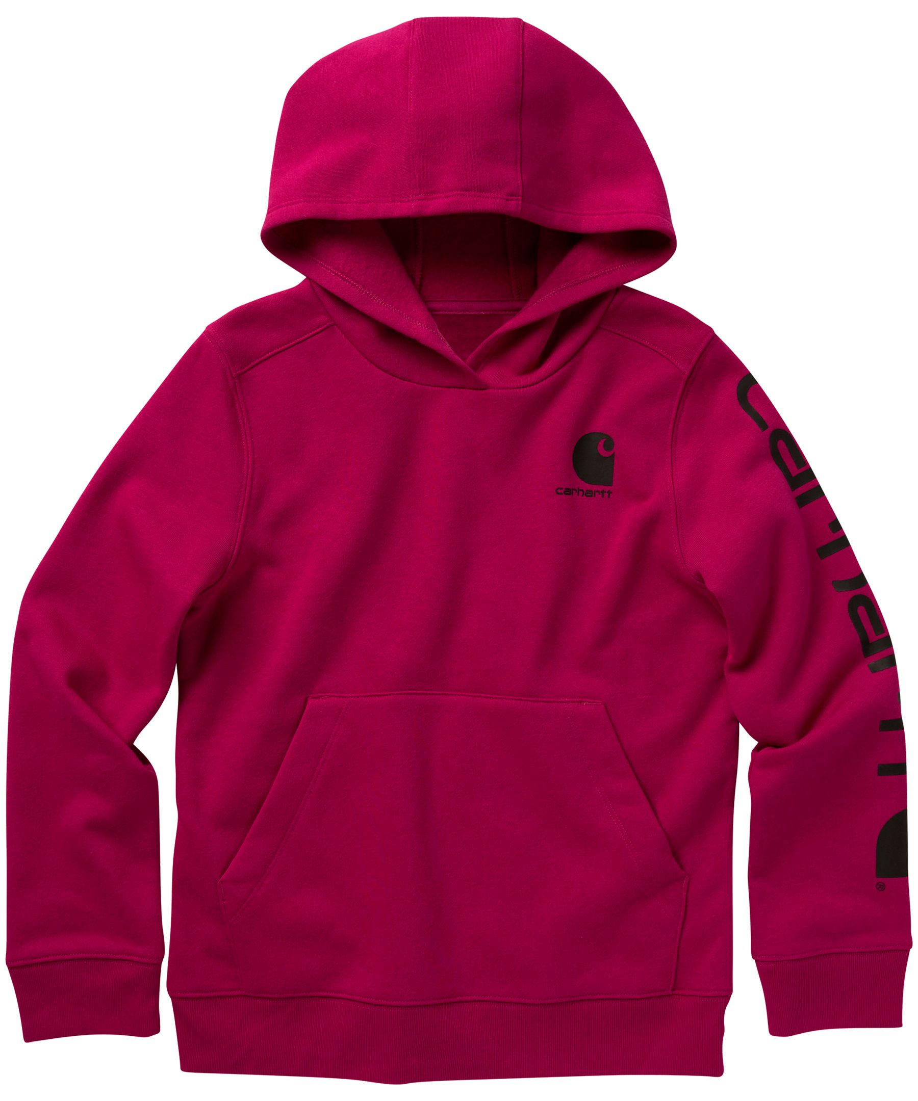 Carhartt Kids' Long Sleeve Graphic Hoodie Sweatshirt