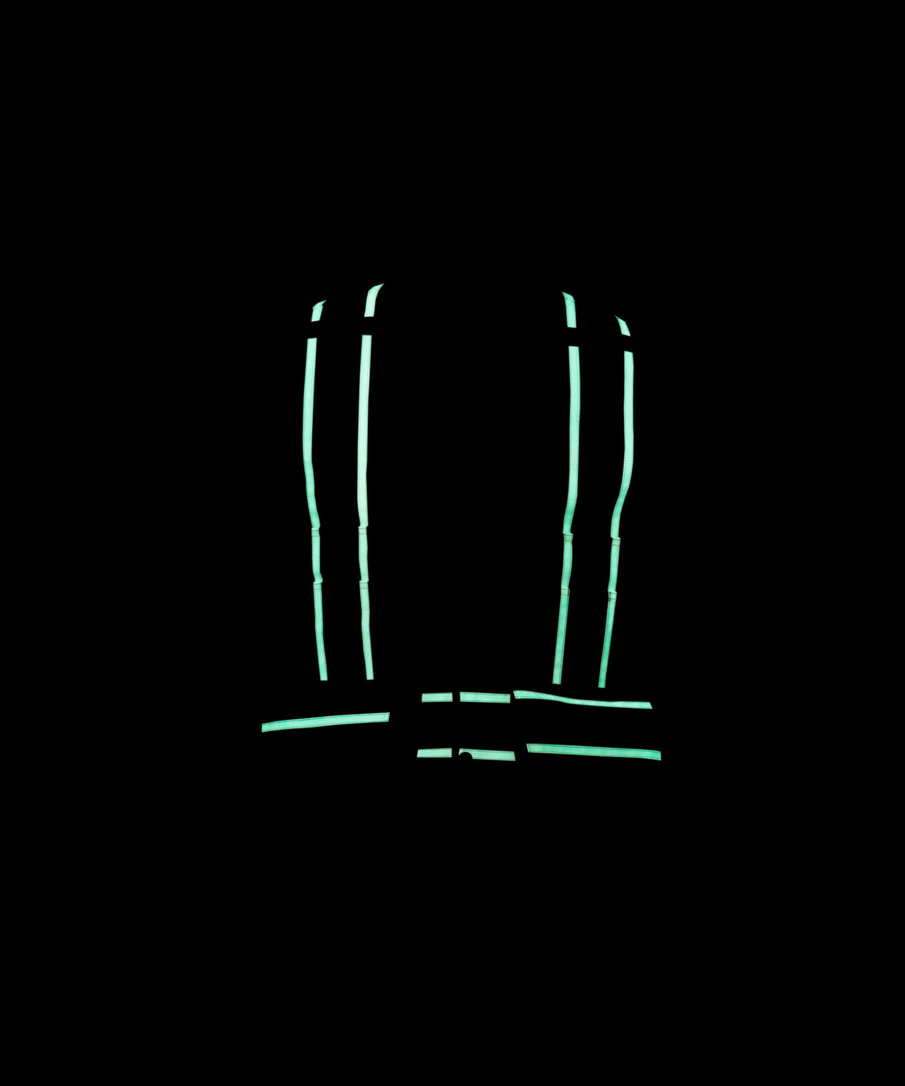 Dakota WorkPro Series Men's VizLite DT Class 2 300D Surveyor's Vest