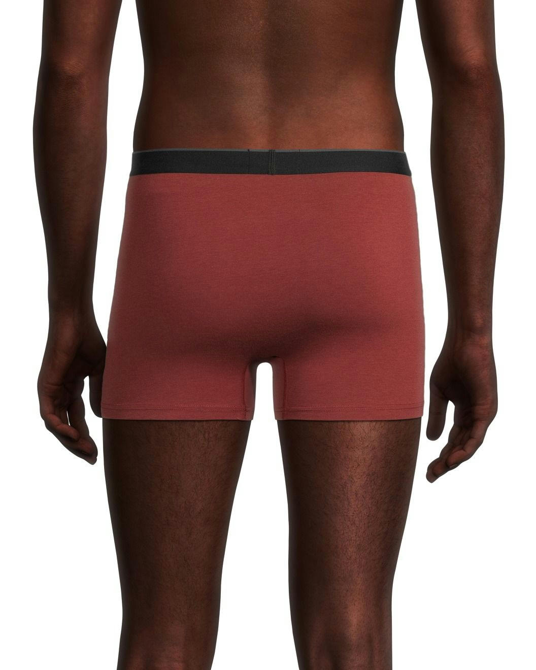 Denver Hayes Men's Rayon from Bamboo 2-Pack Trunk Briefs