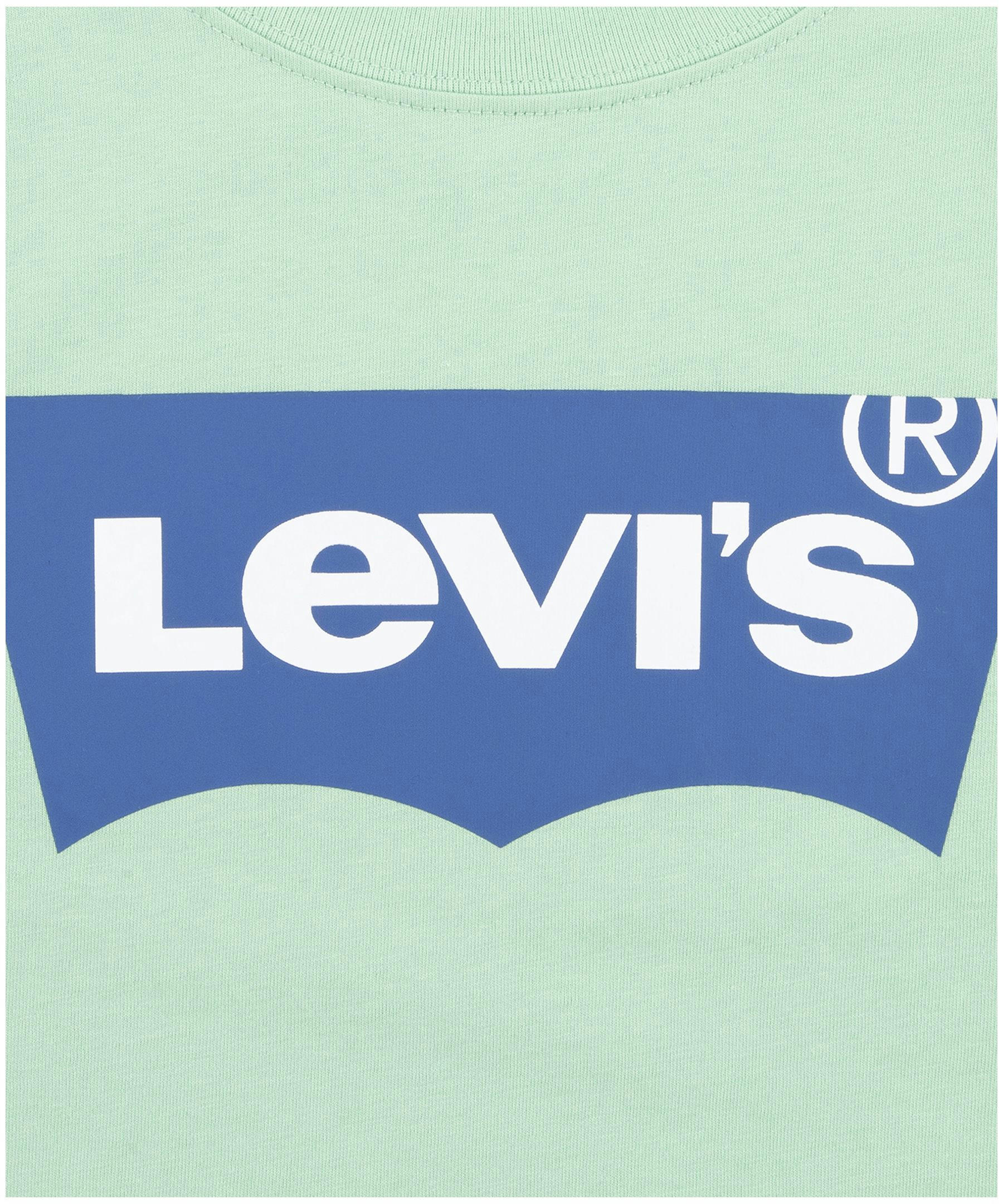 Levi's Youth Unisex Crew Neck Graphic T Shirt