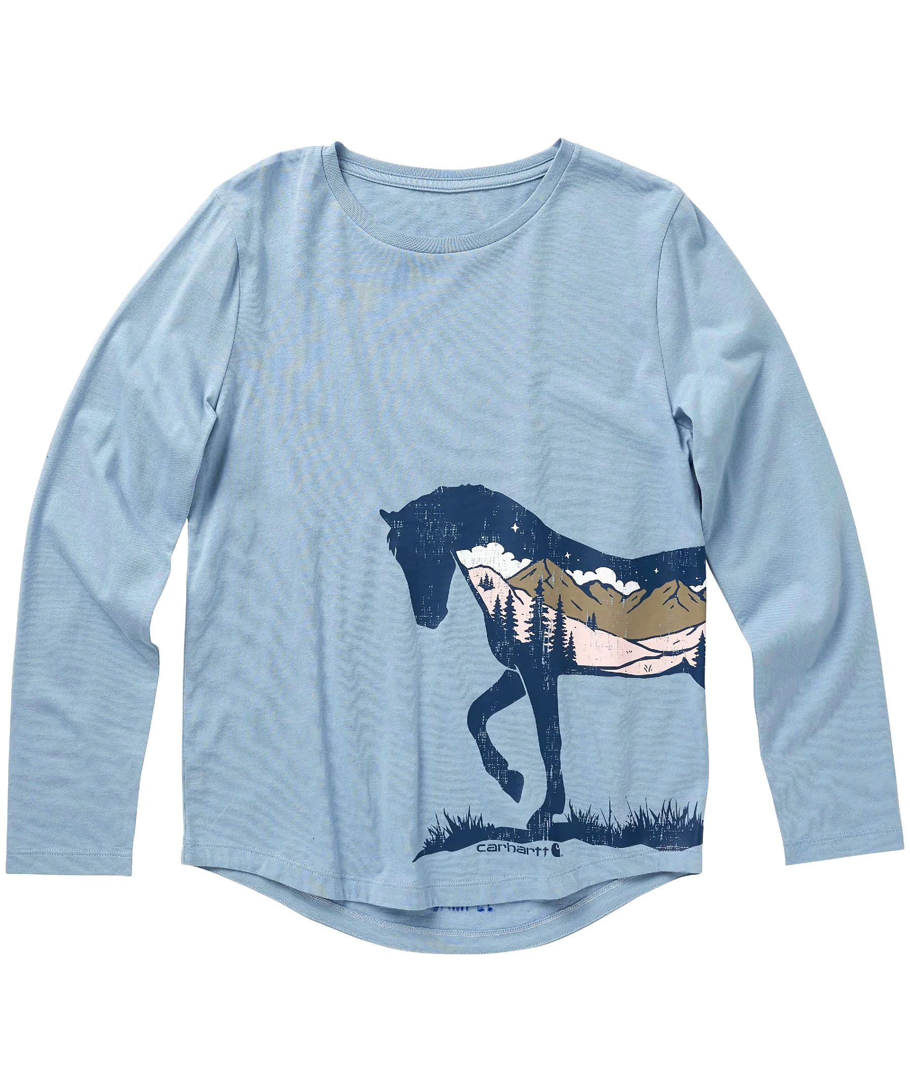 Carhartt Girls' 2-4 Years Starry Horse Long Sleeve Graphic T Shirt