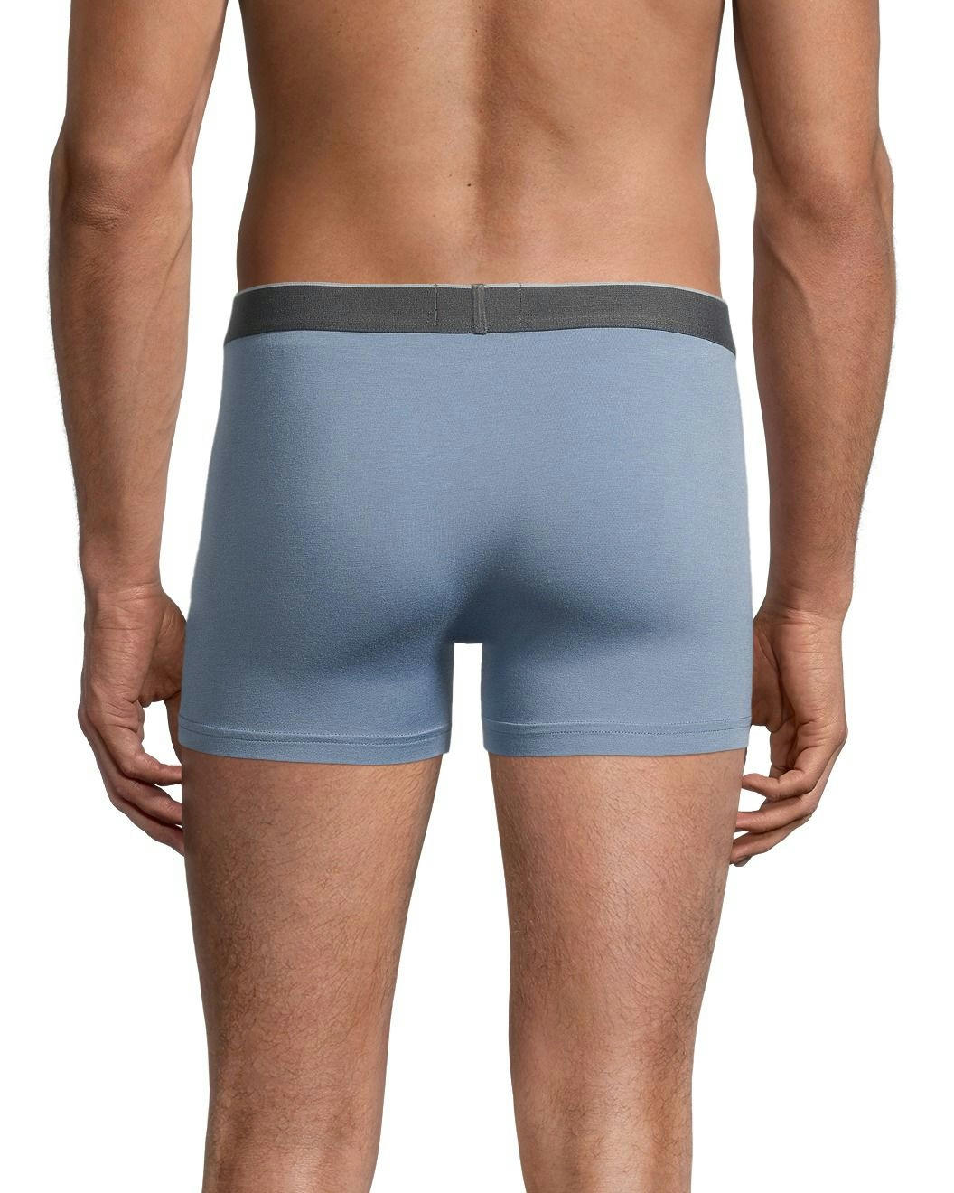 Denver Hayes Men's Rayon from Bamboo 2-Pack Trunk Briefs