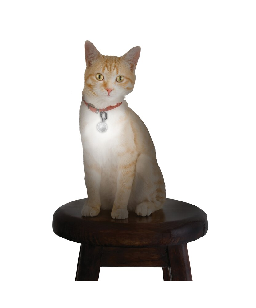 Nite Ize PetLit Collar Light Crystal Jewel