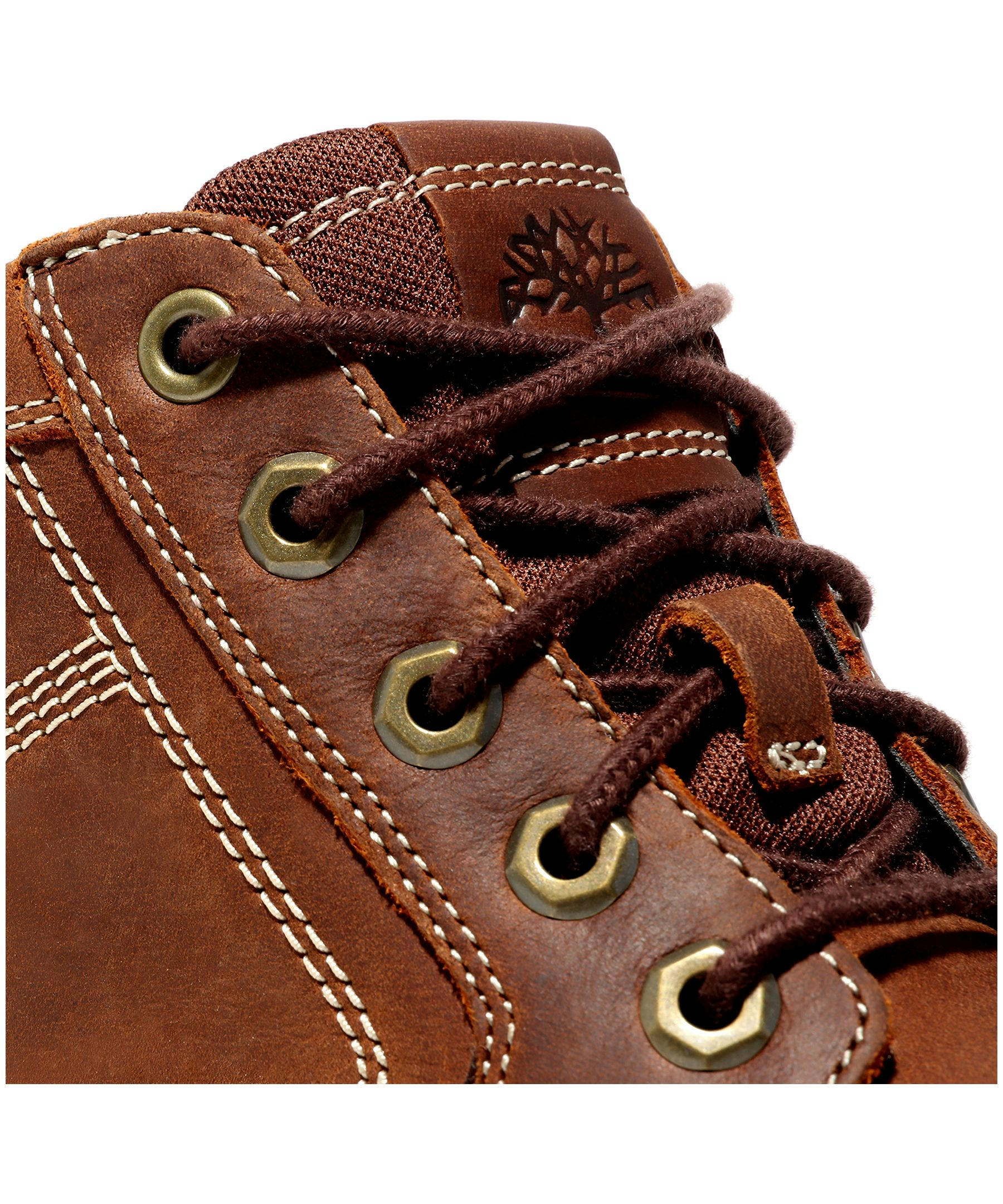 Timberland Men's Larchmont II Waterproof Chukka Leather Boot