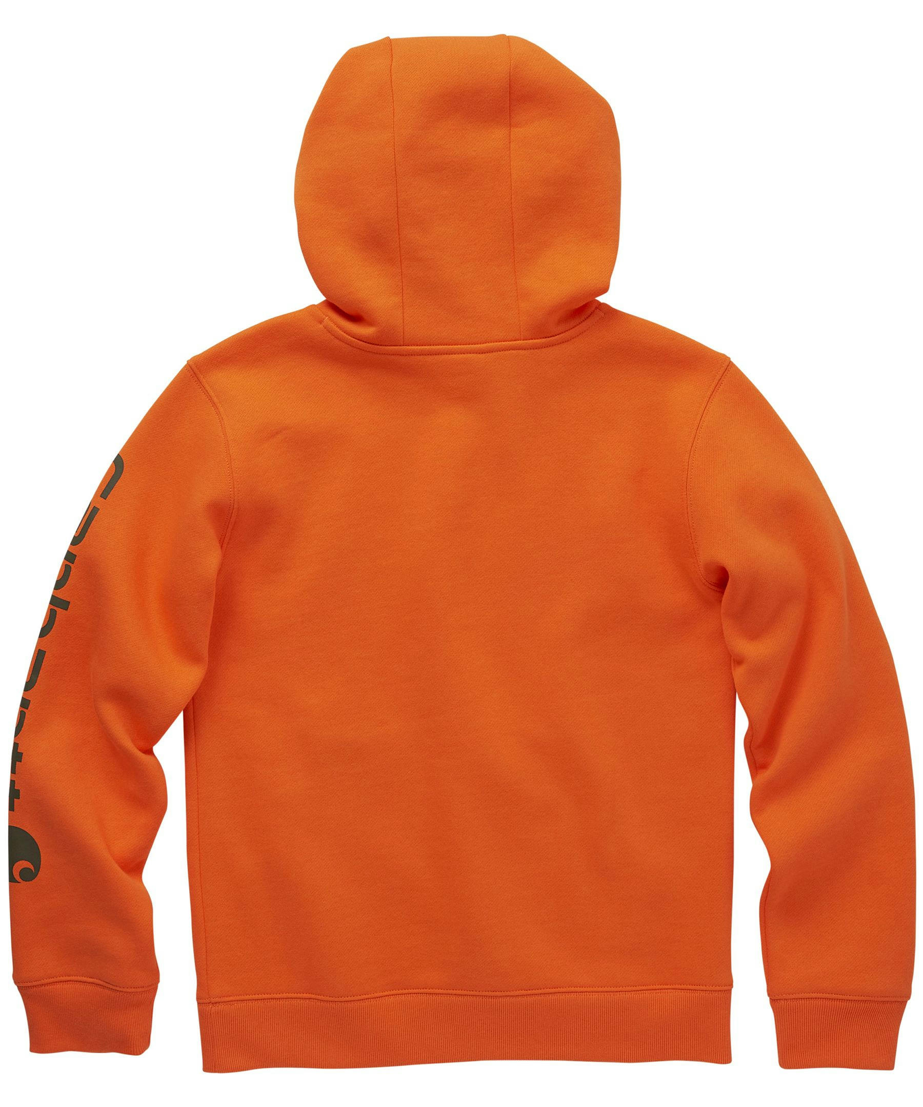 Carhartt Youth Unisex Logo Graphic Hoodie Sweatshirt