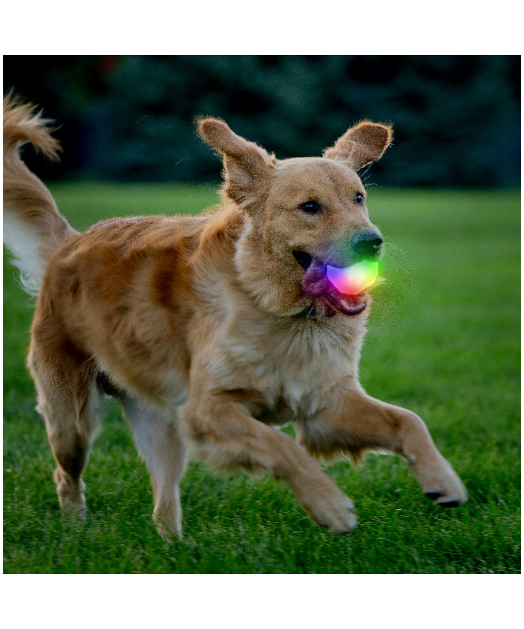 Nite Ize Glowstreak Wild LED Disco Ball Fetch Toy