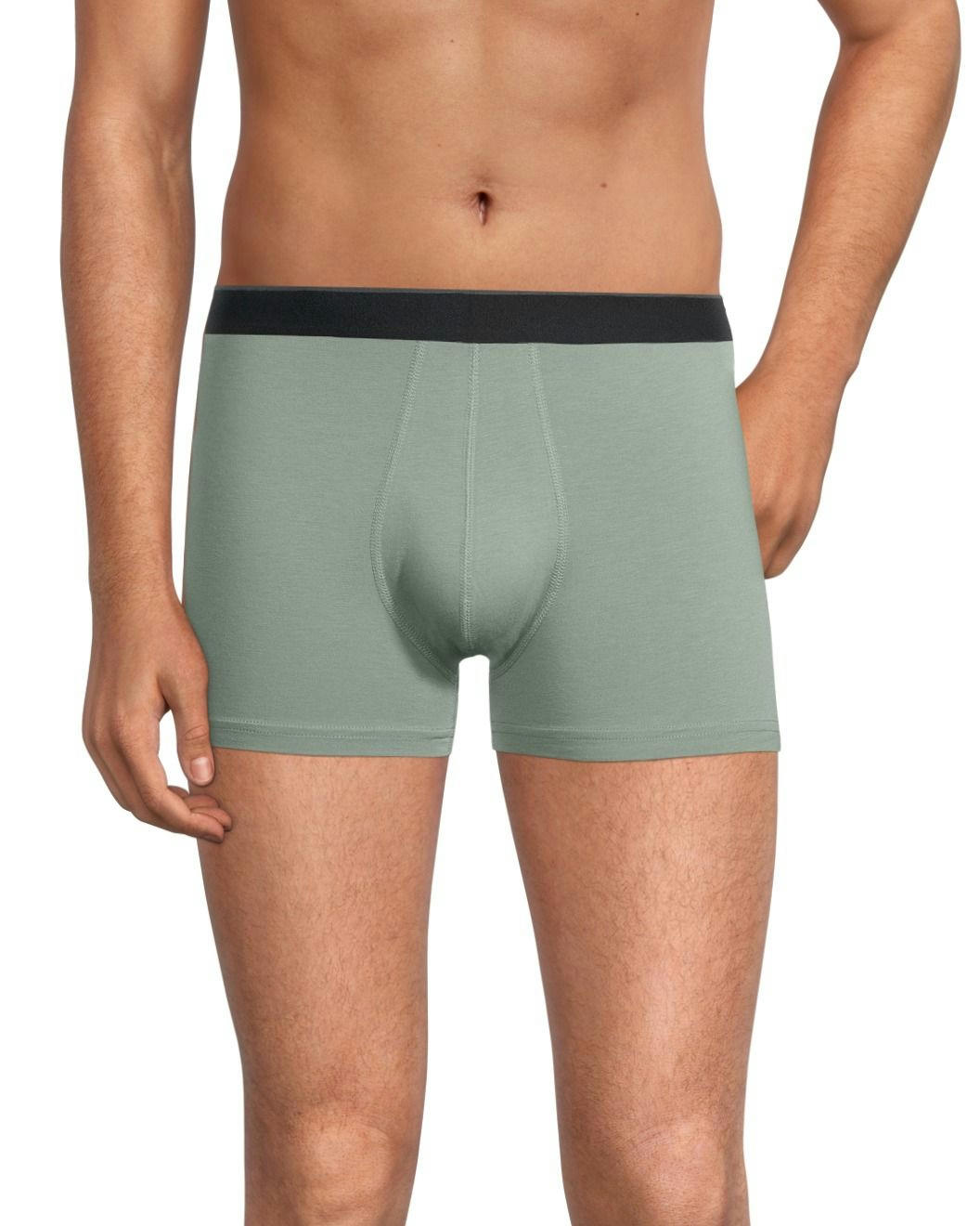 Denver Hayes Men's Rayon from Bamboo 2-Pack Trunk Briefs