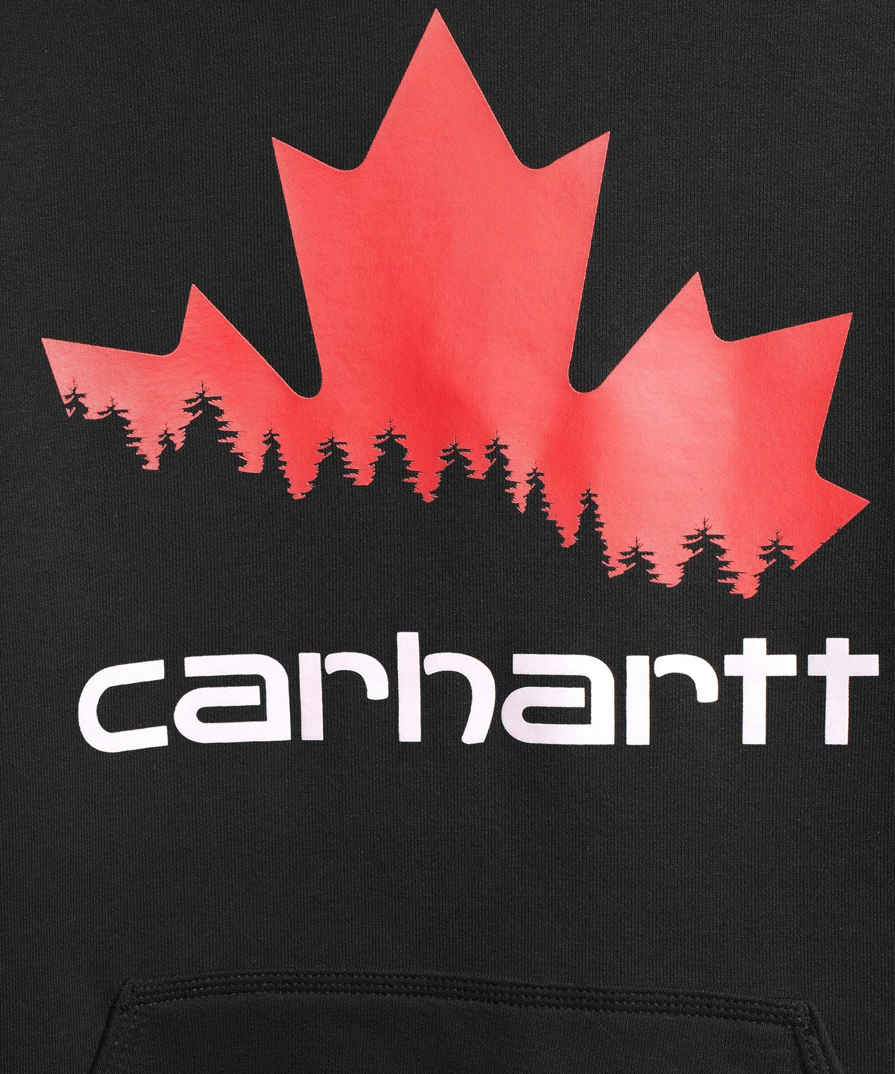 Carhartt Men's Canada Graphic Hoodie