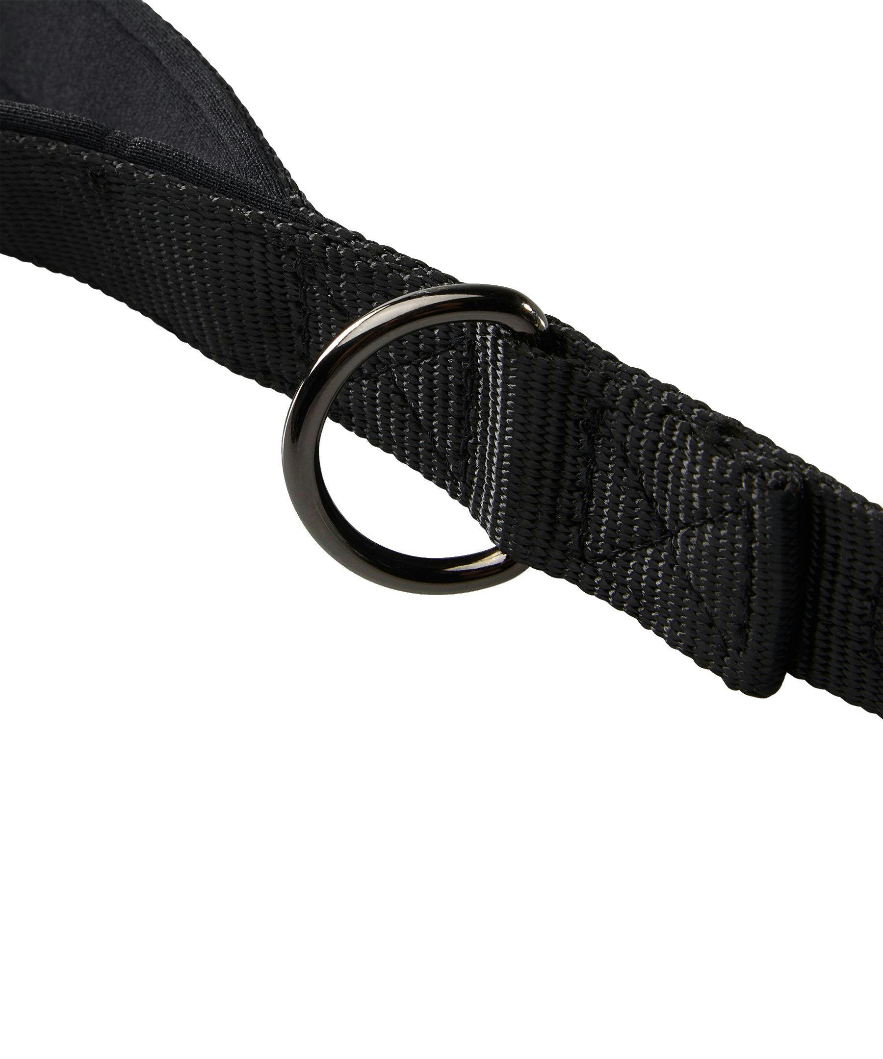 WindRiver Dog Leash with Vizlite