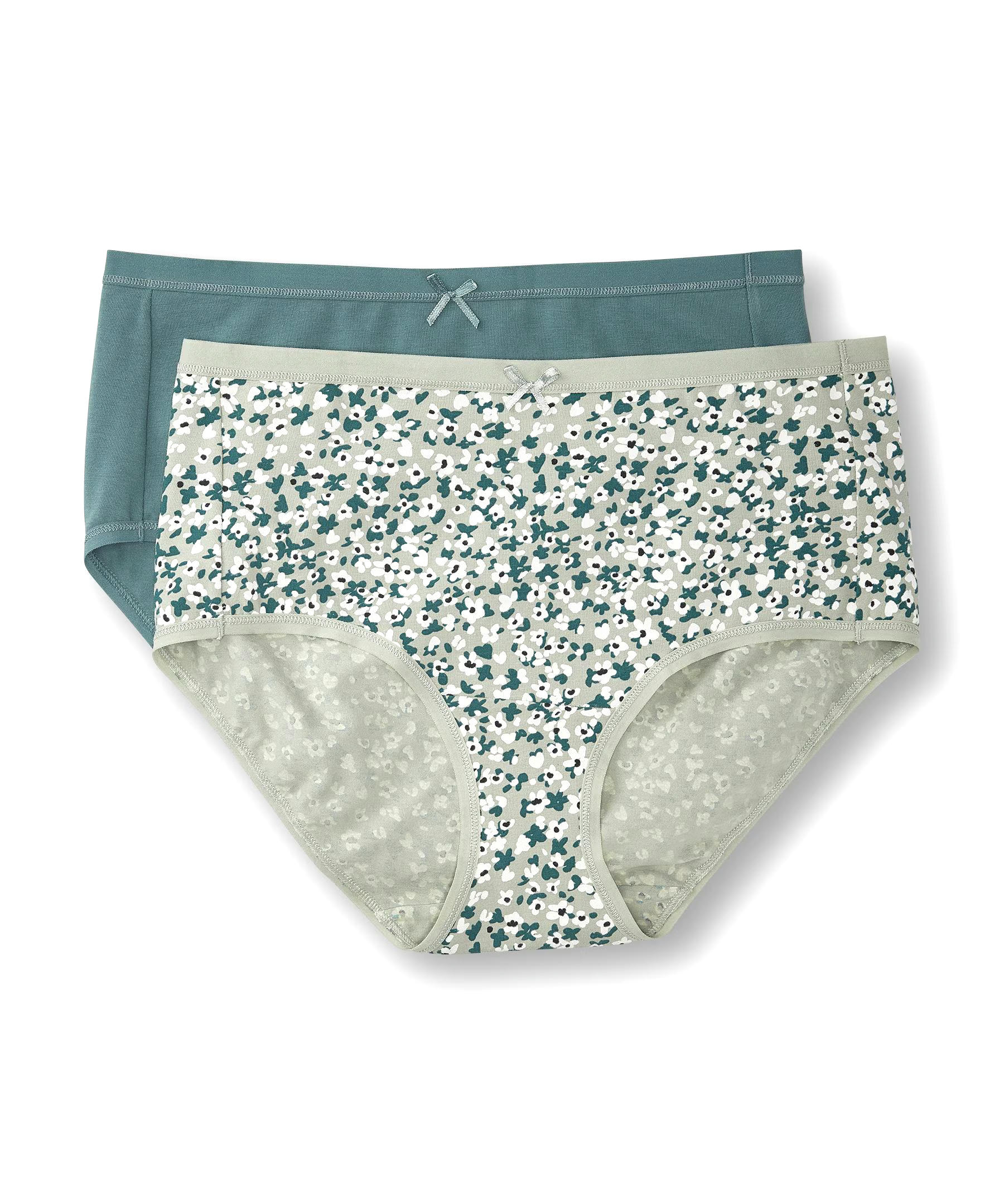 Denver Hayes Women's 2 Pack Cotton Stretch Modern Brief Underwear