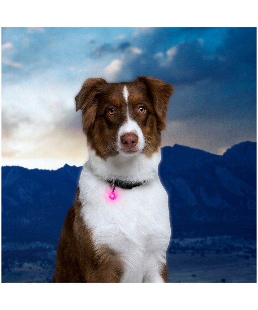 Nite Ize Petlit Collar Light Pink Jewel