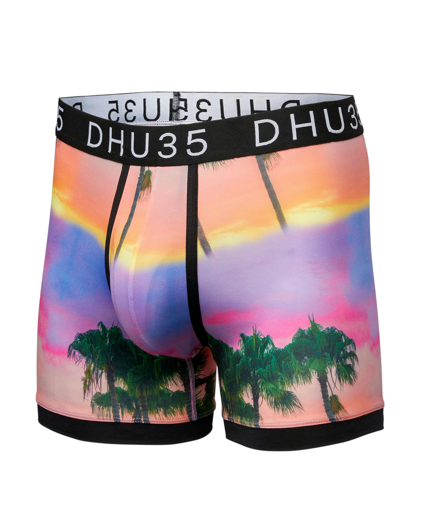 Denver Hayes Men's Fashion Photo Real Microfiber Boxer Briefs Underwear