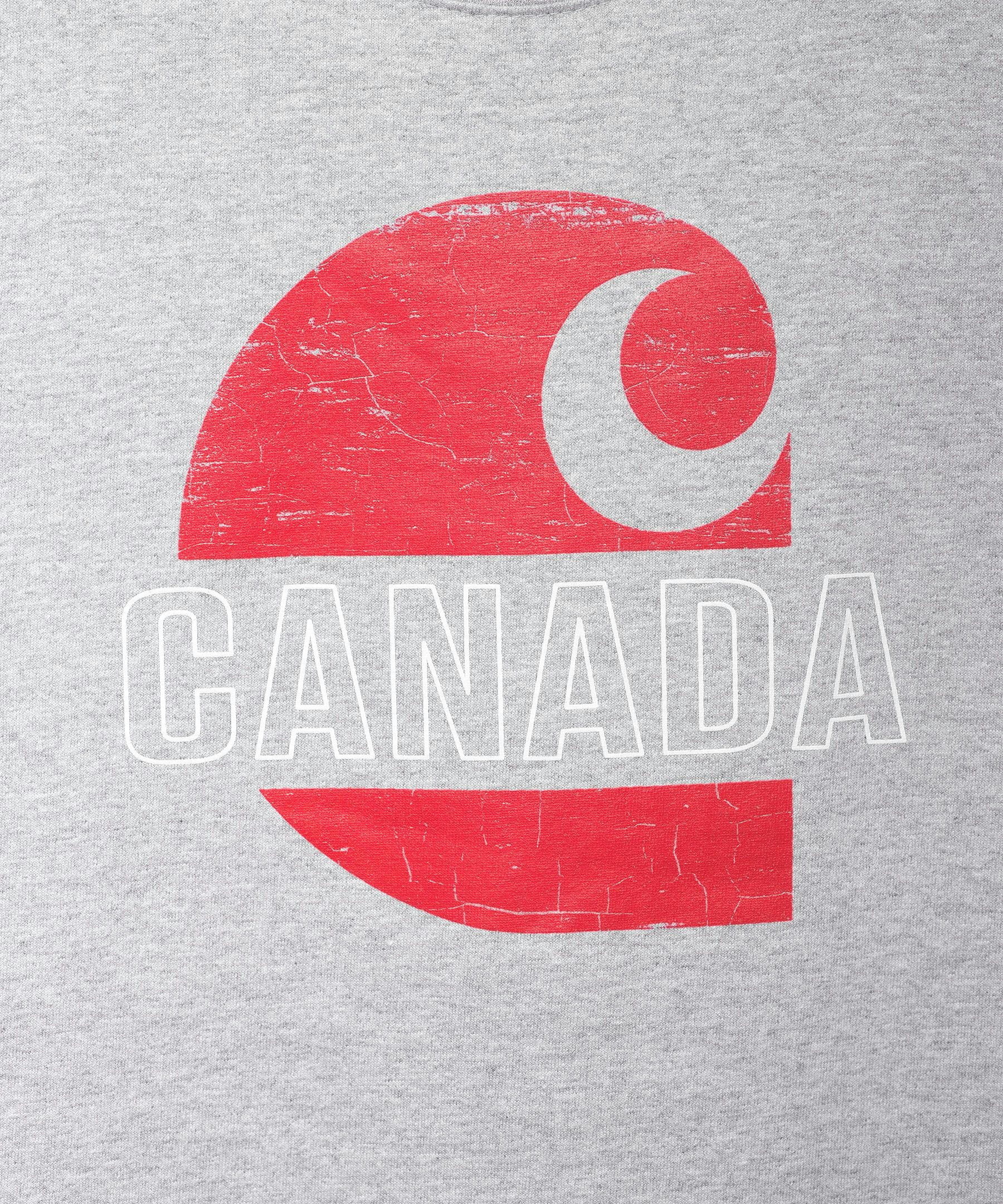 Carhartt Men's Loose Fit Heavyweight Cotton Crewneck Graphic T Shirt