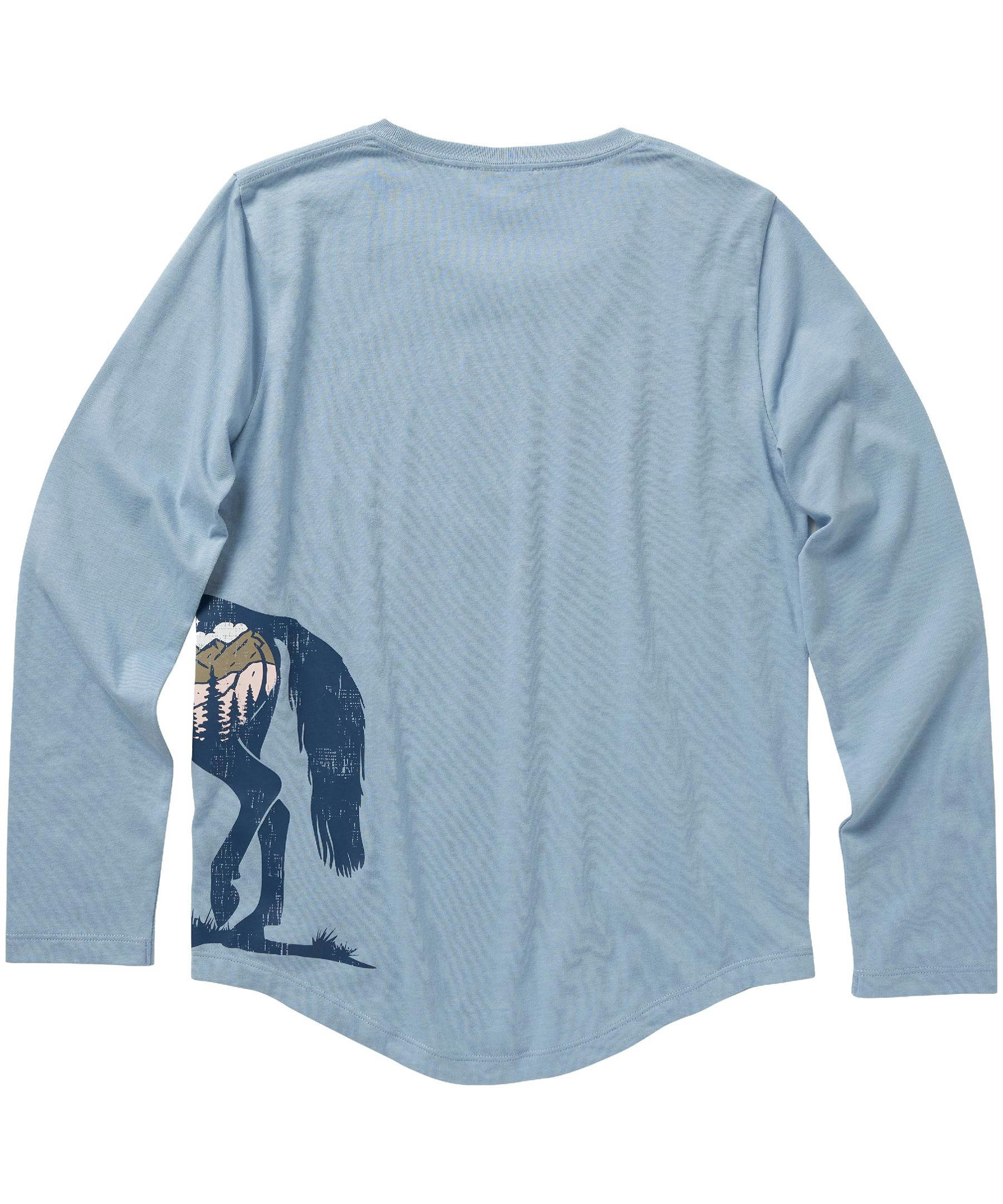 Carhartt Girls' 2-4 Years Starry Horse Long Sleeve Graphic T Shirt