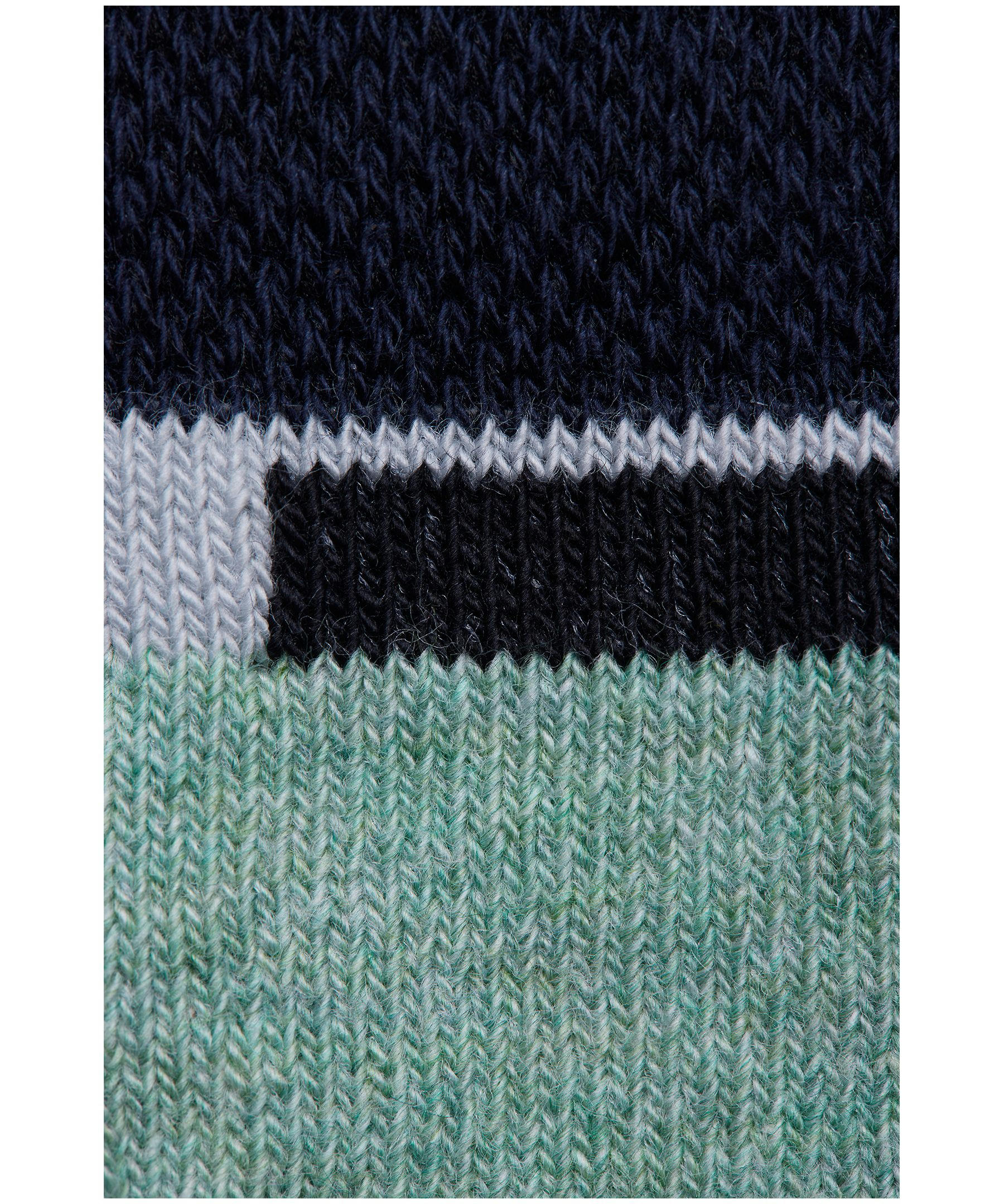 Healthy Seas Men's Grunion Crew Casual Socks