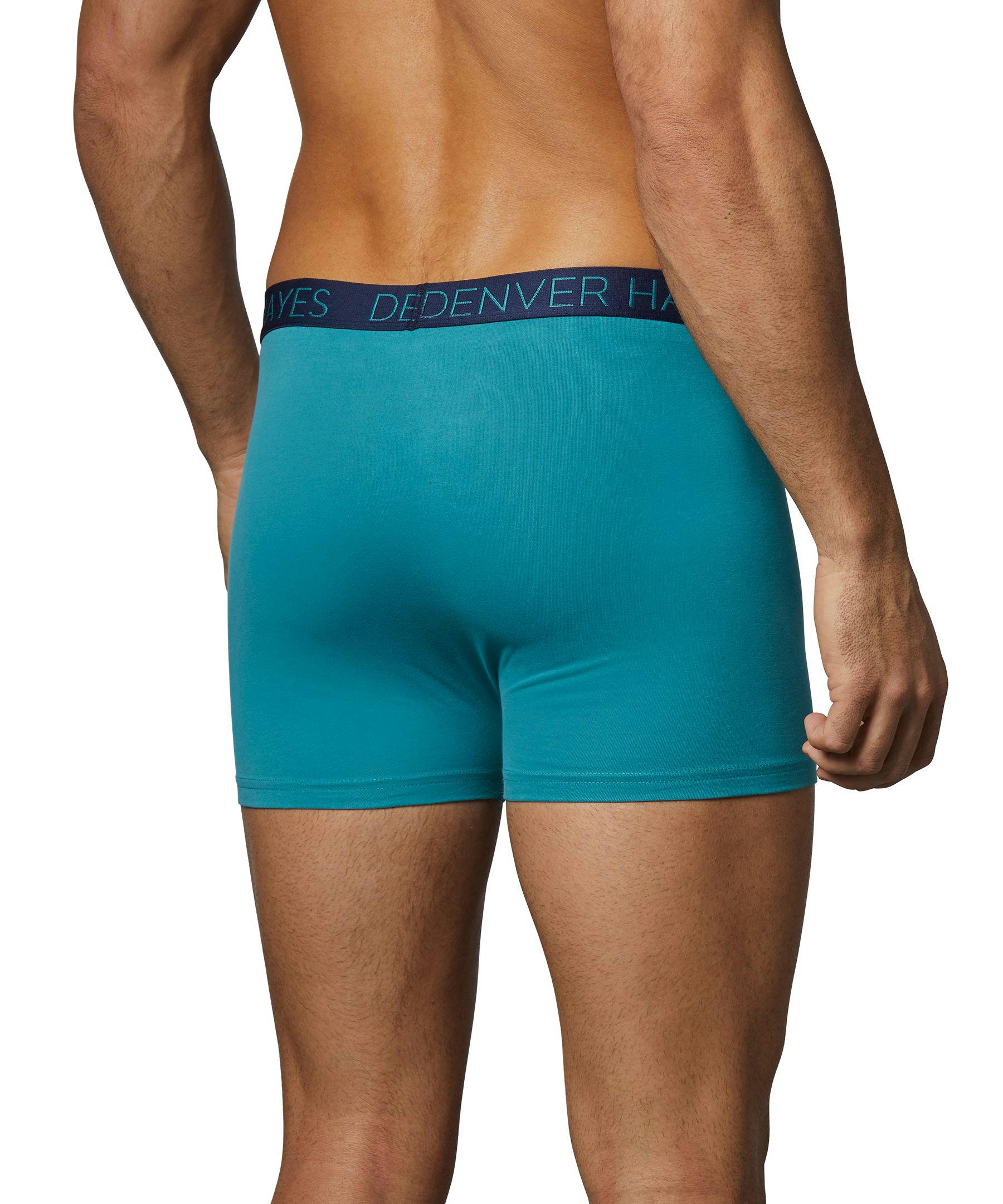 Denver Hayes Men's 2-Pack DriWear Trunk Brief