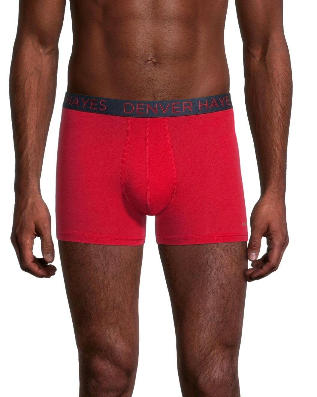 Denver Hayes Men's 2-Pack DriWear Trunk Brief