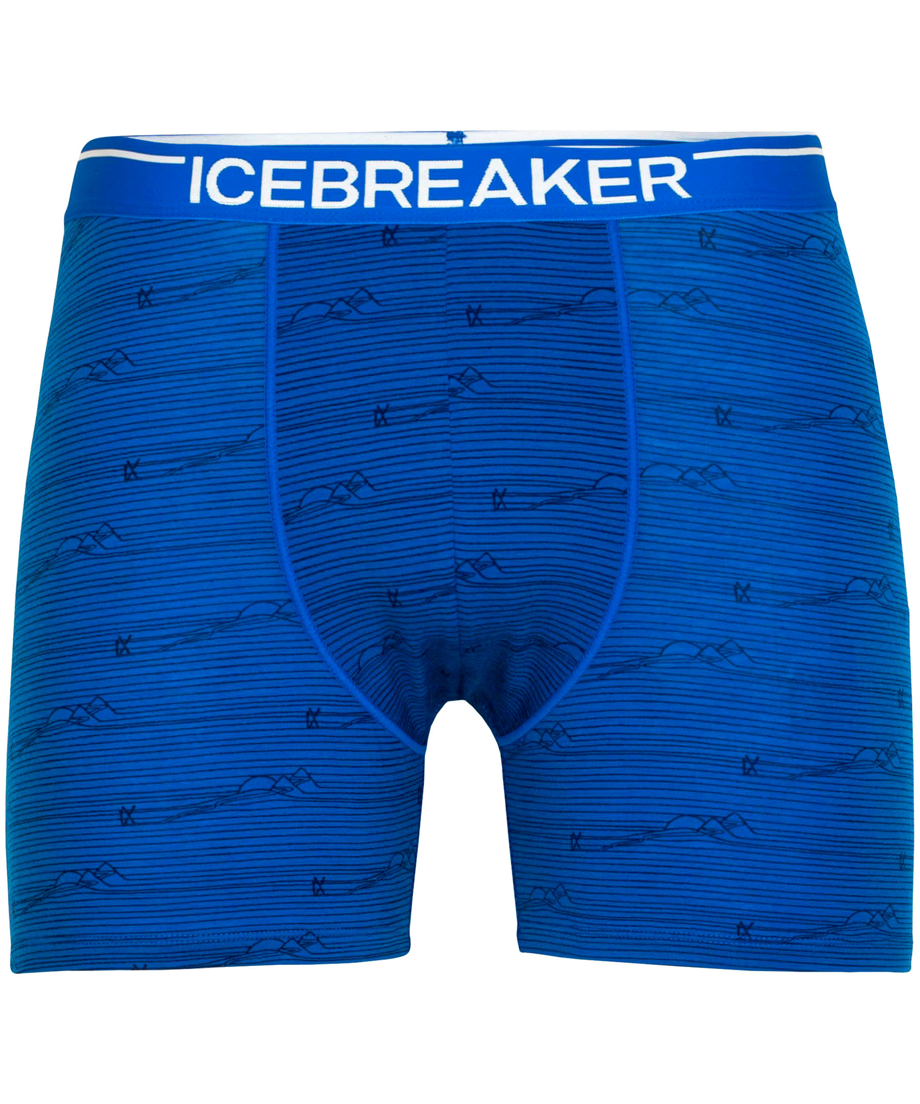 Icebreaker Men's Anatomica Boxers