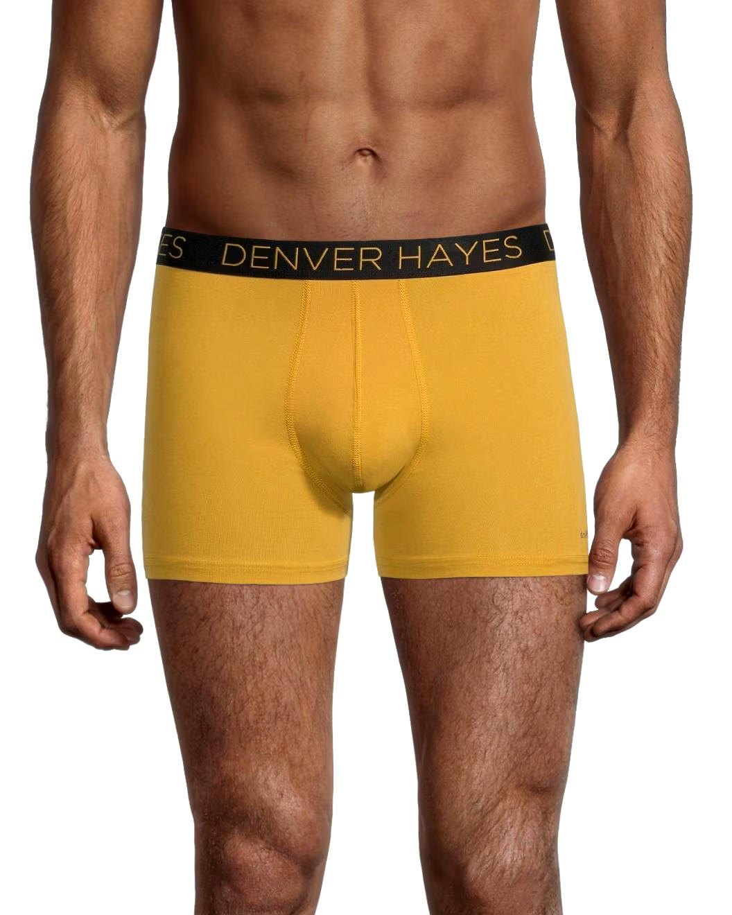 Denver Hayes Men's 2-Pack DriWear Trunk Brief