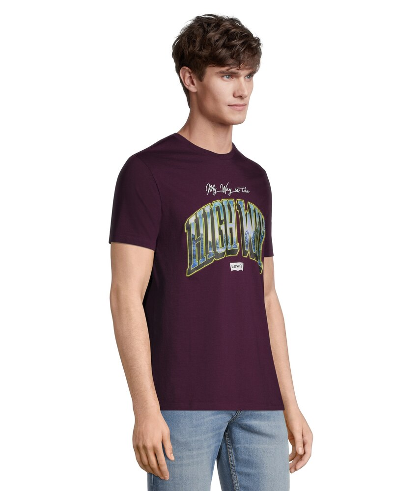 Levi's Men's Highway Graphic Crewneck Cotton T Shirt