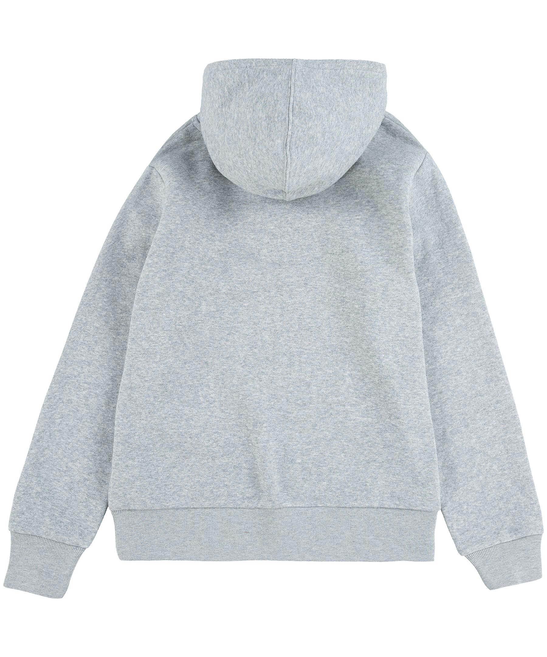 Levi's Kids' Unisex Batwing Graphic Fleece Pullover Hoodie